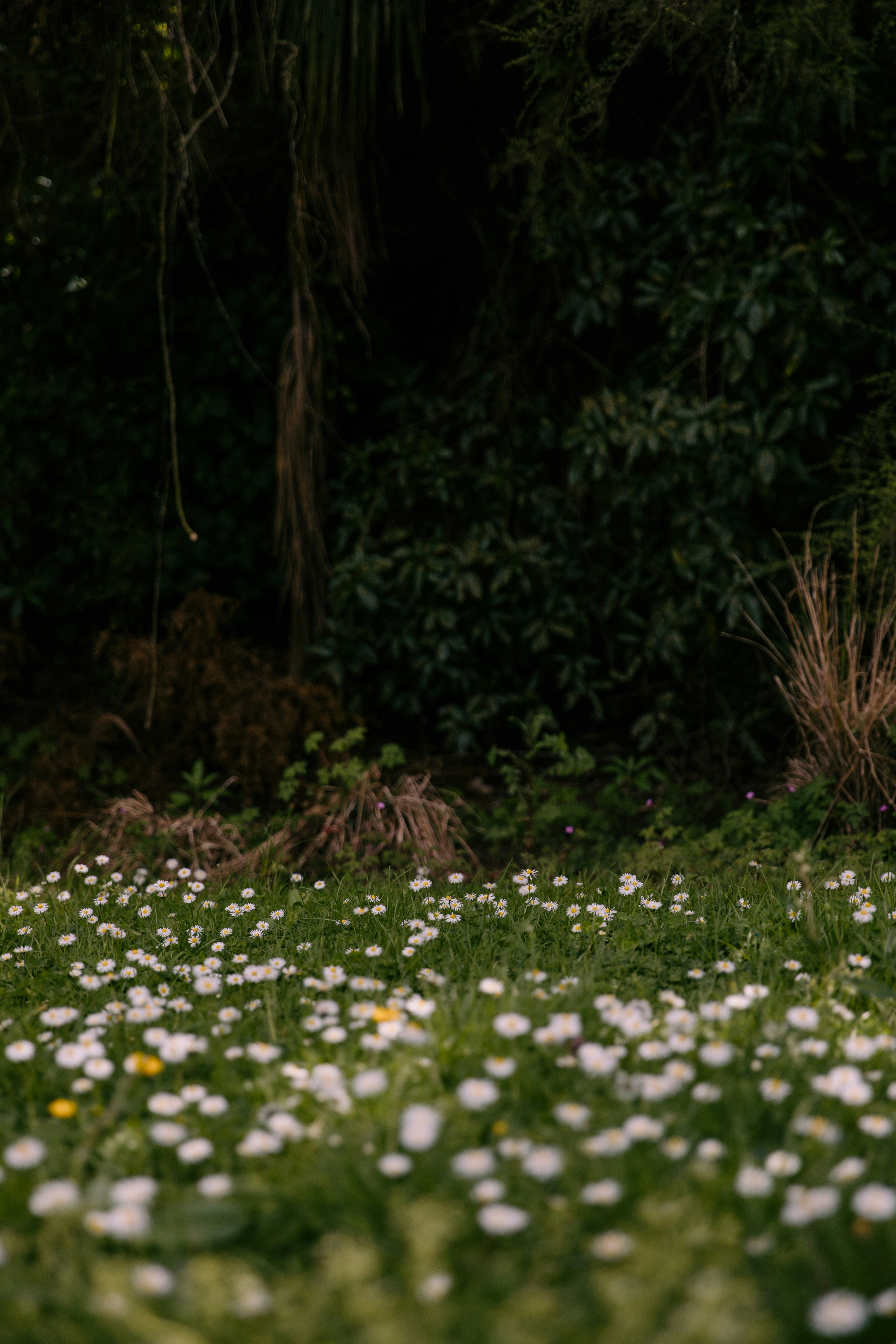 Photo by createinme_nz