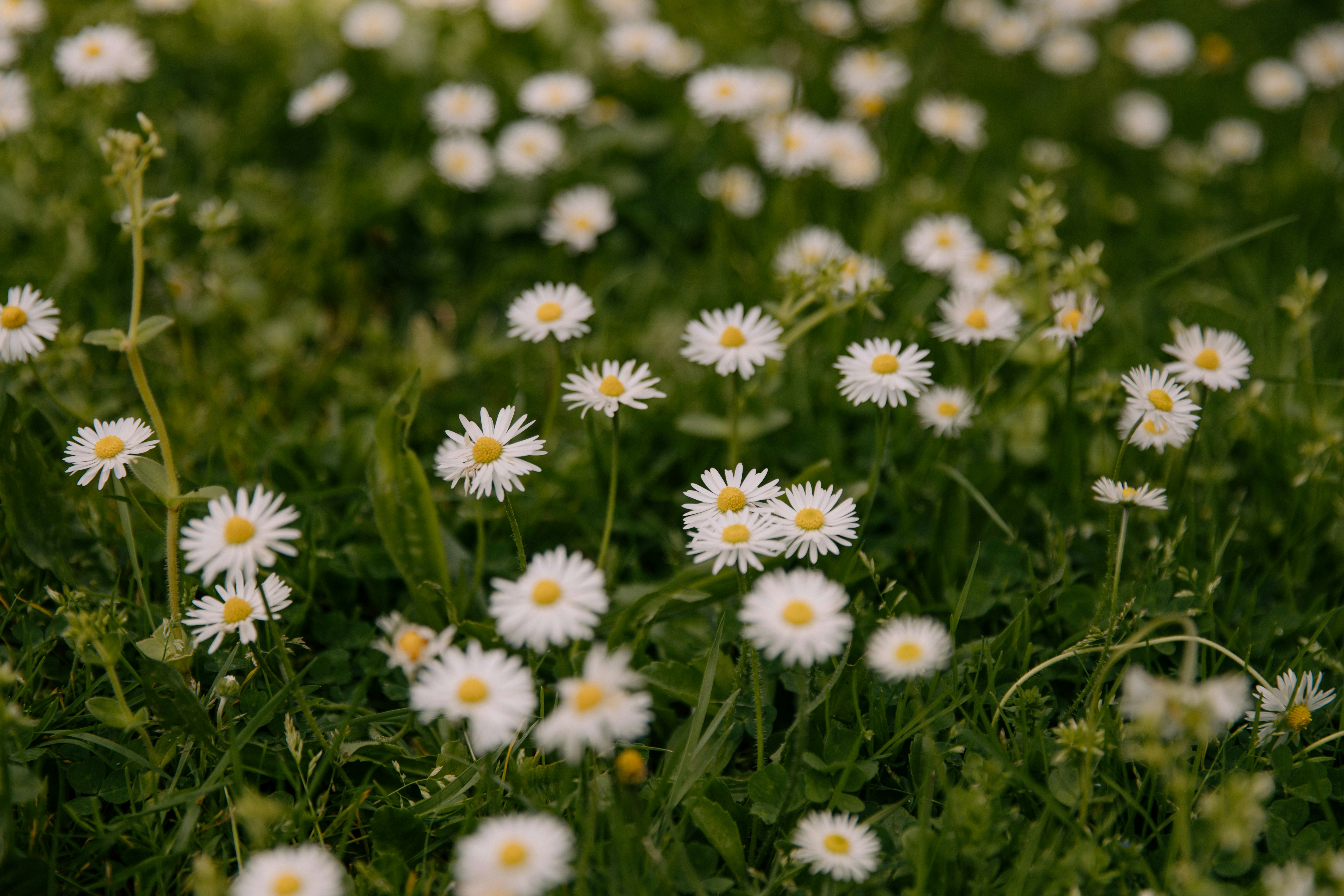 Photo by createinme_nz