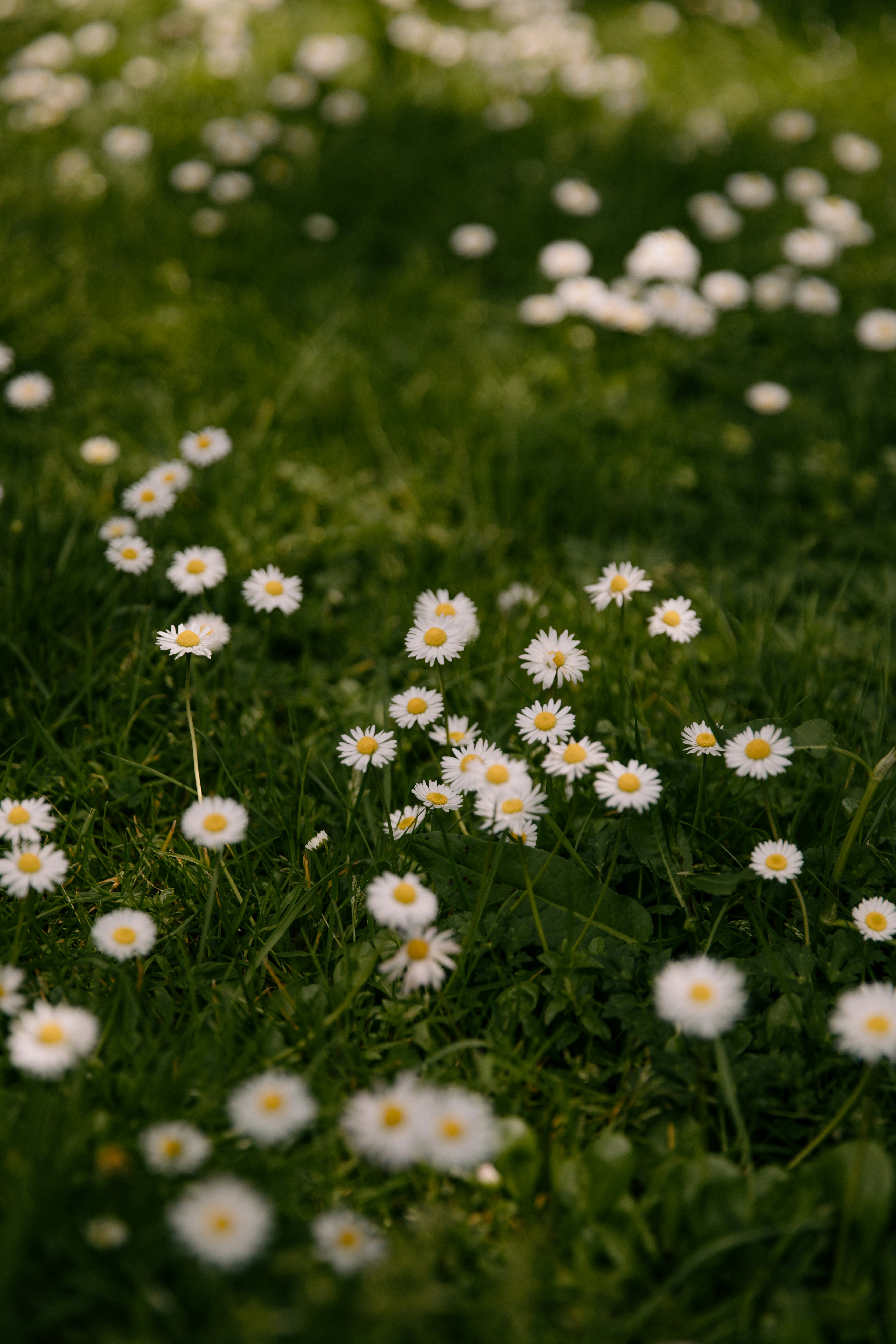 Photo by createinme_nz