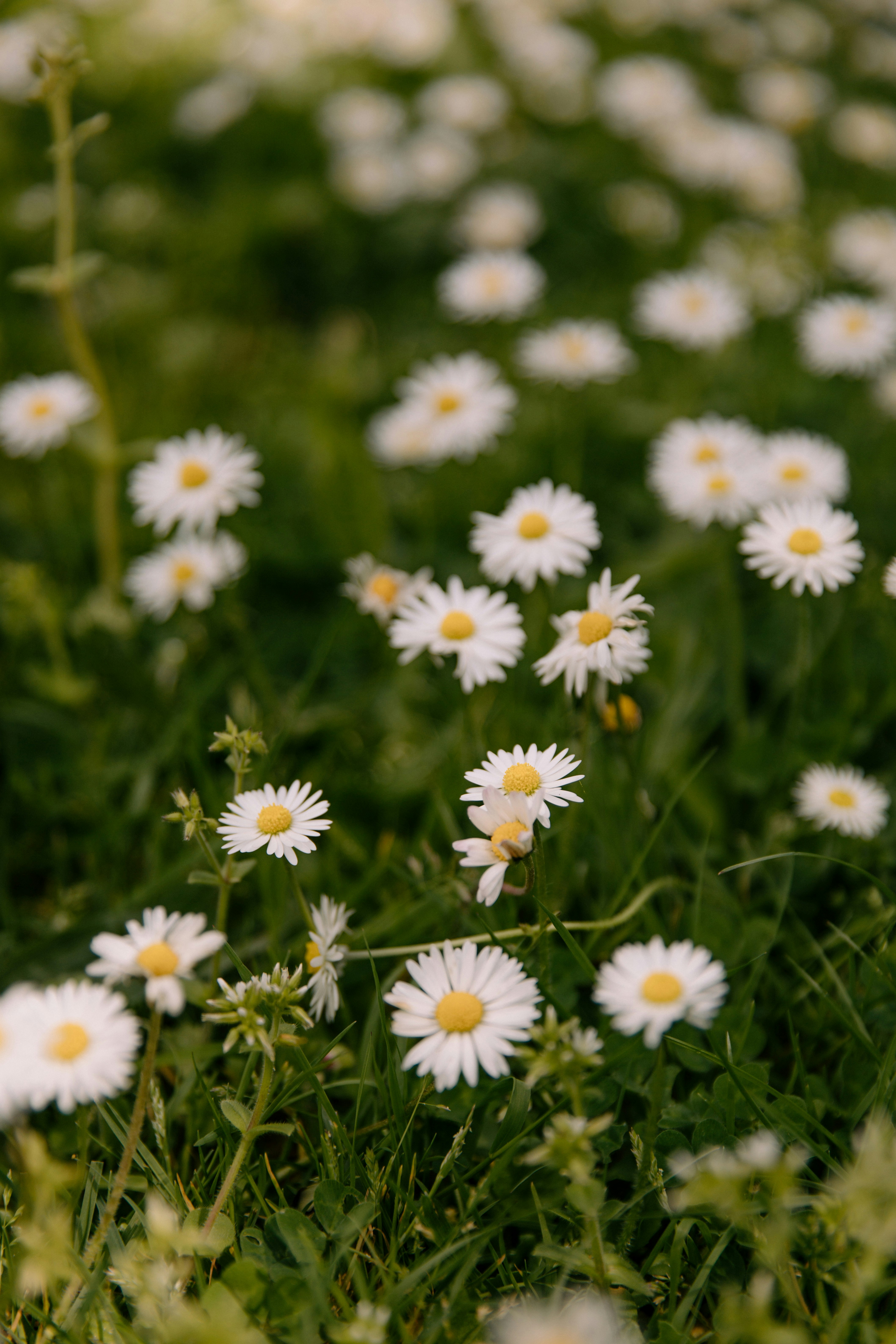 Photo by createinme_nz