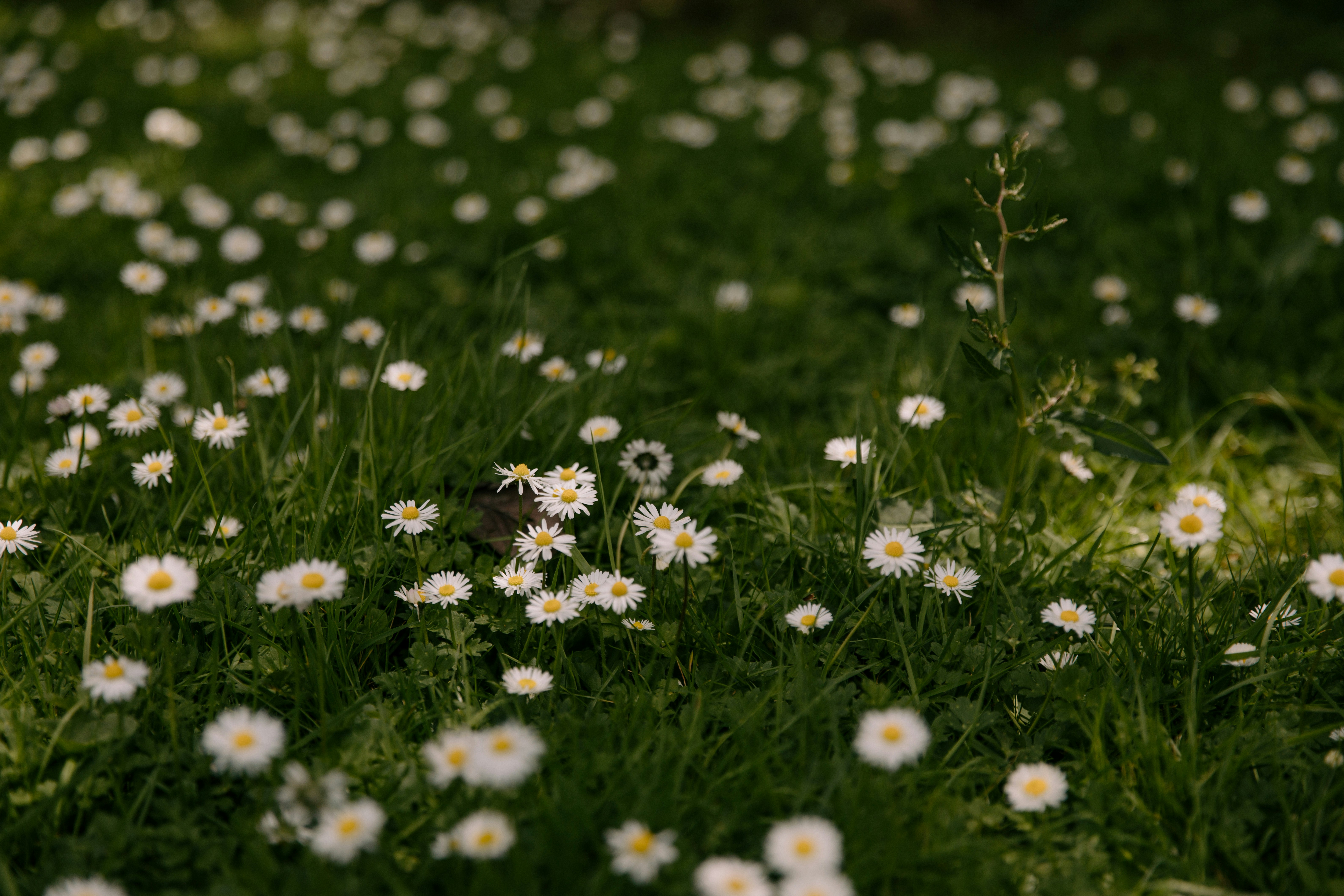 Photo by createinme_nz