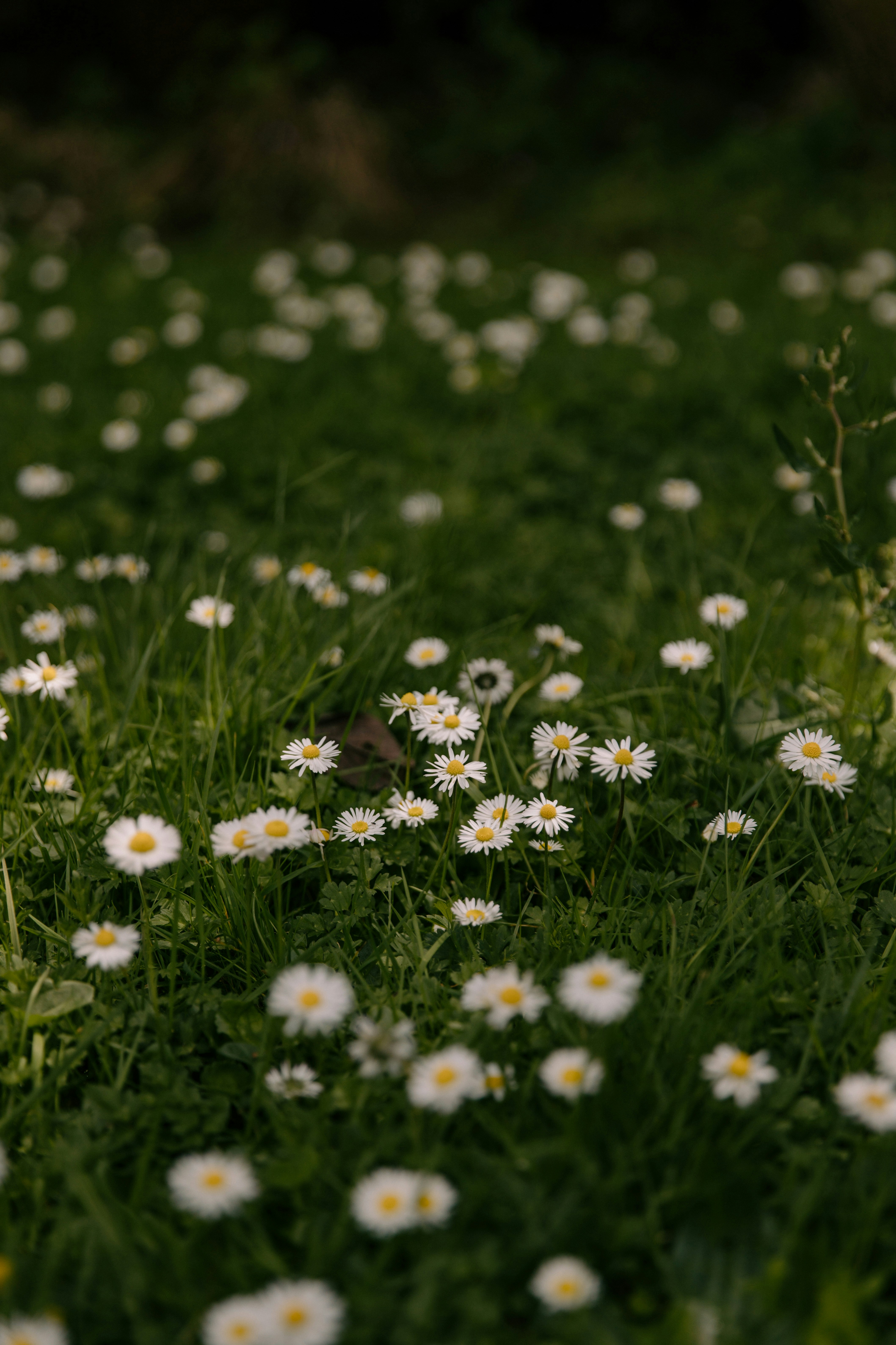 Photo by createinme_nz