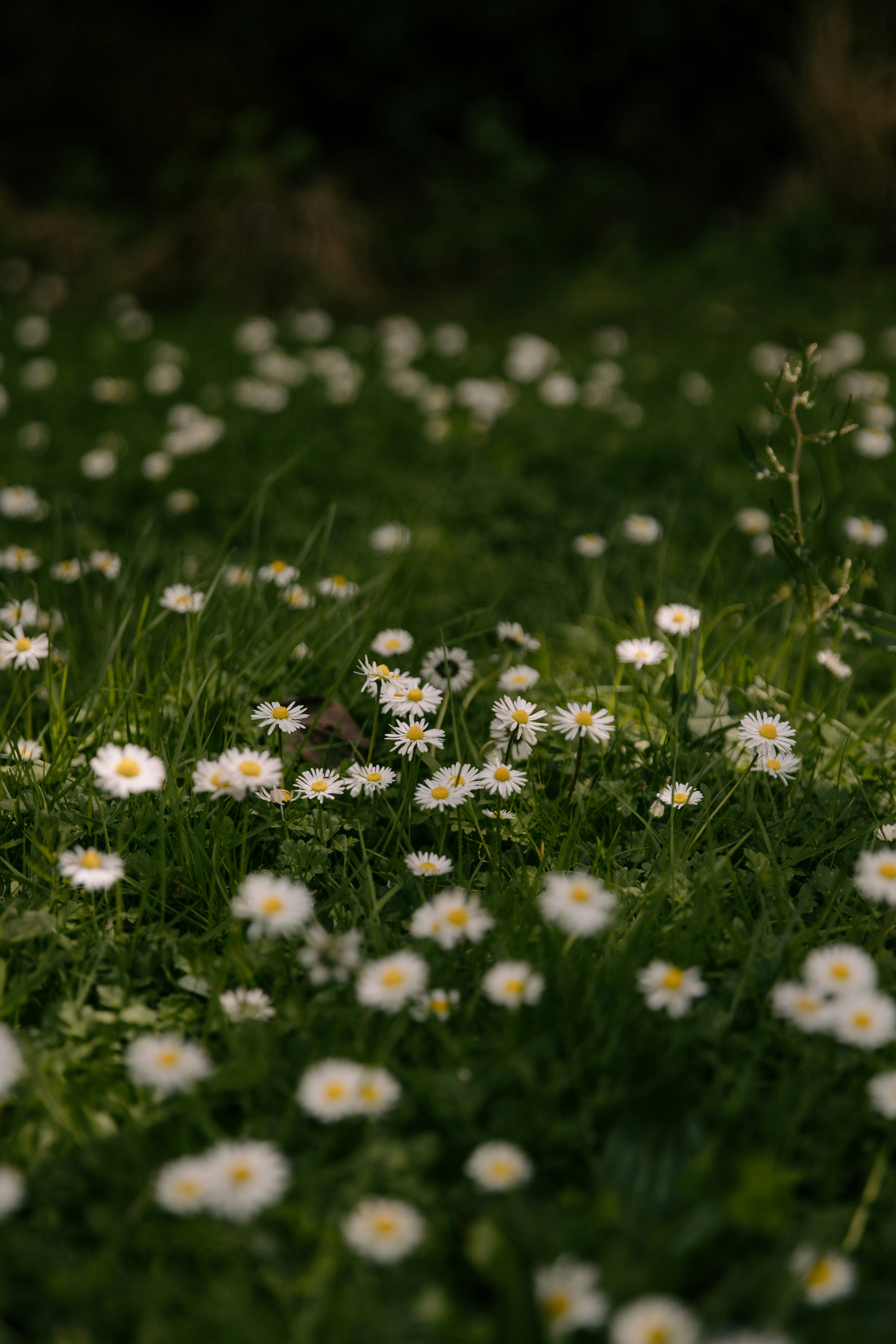 Photo by createinme_nz