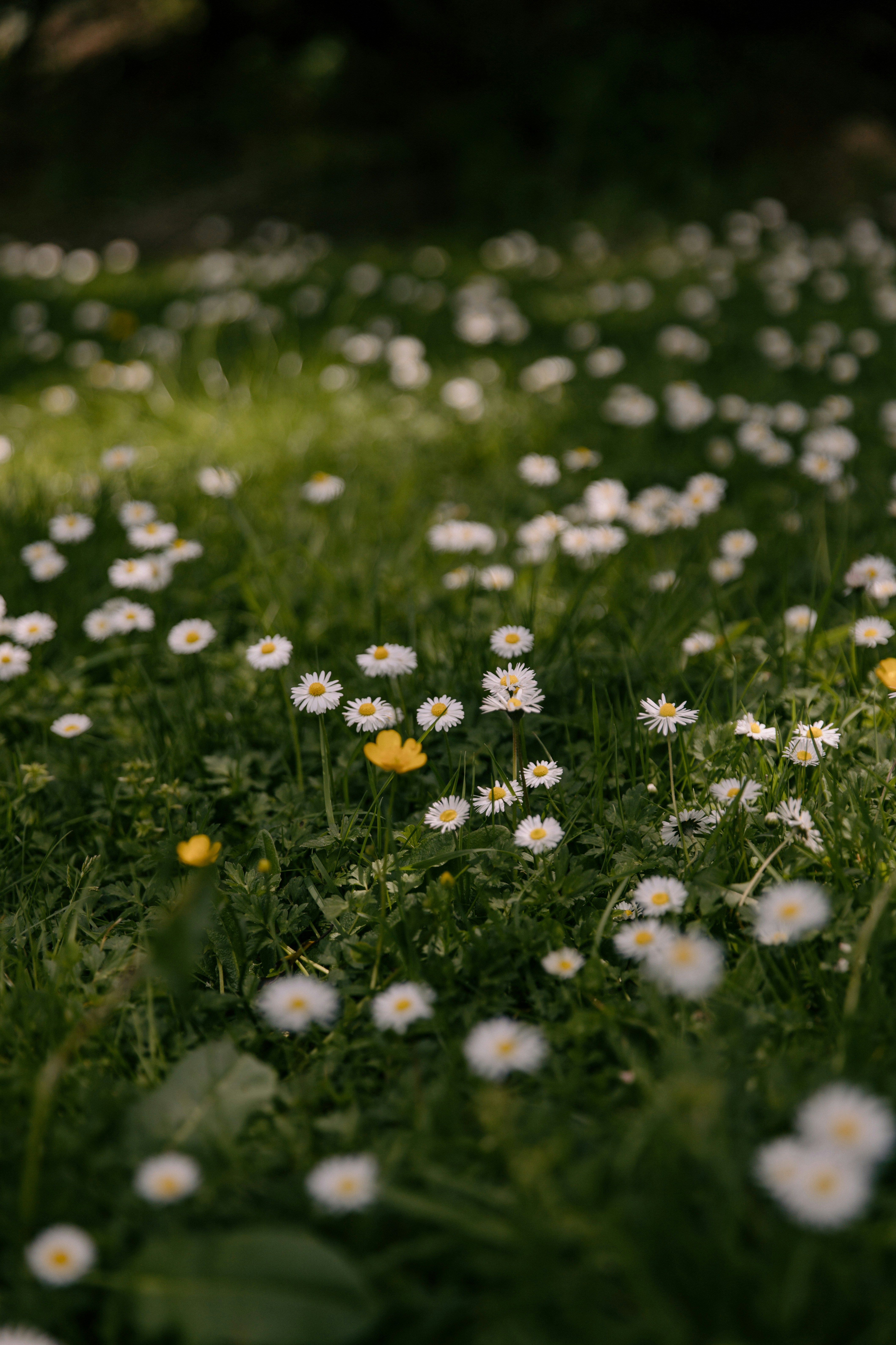 Photo by createinme_nz