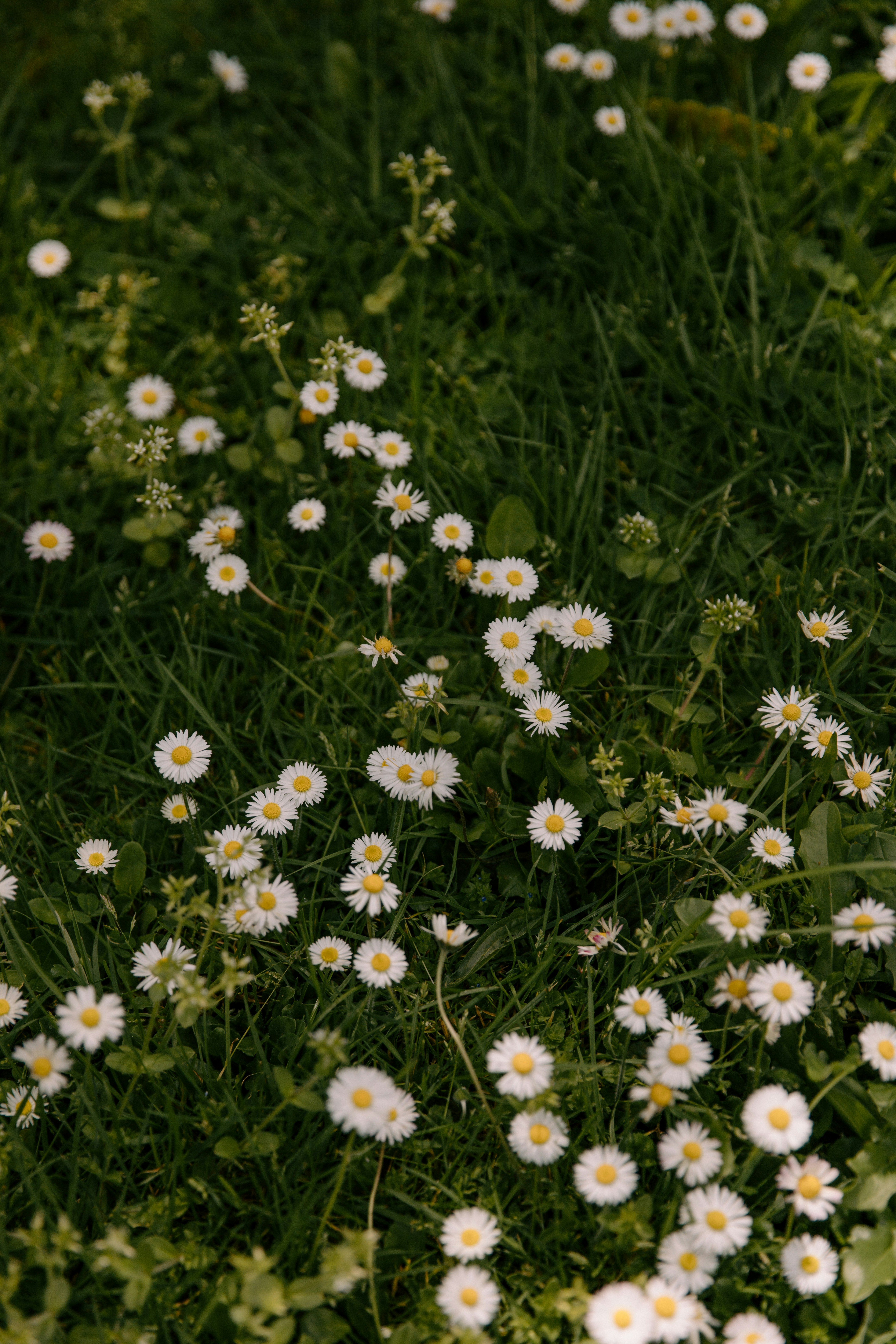 Photo by createinme_nz