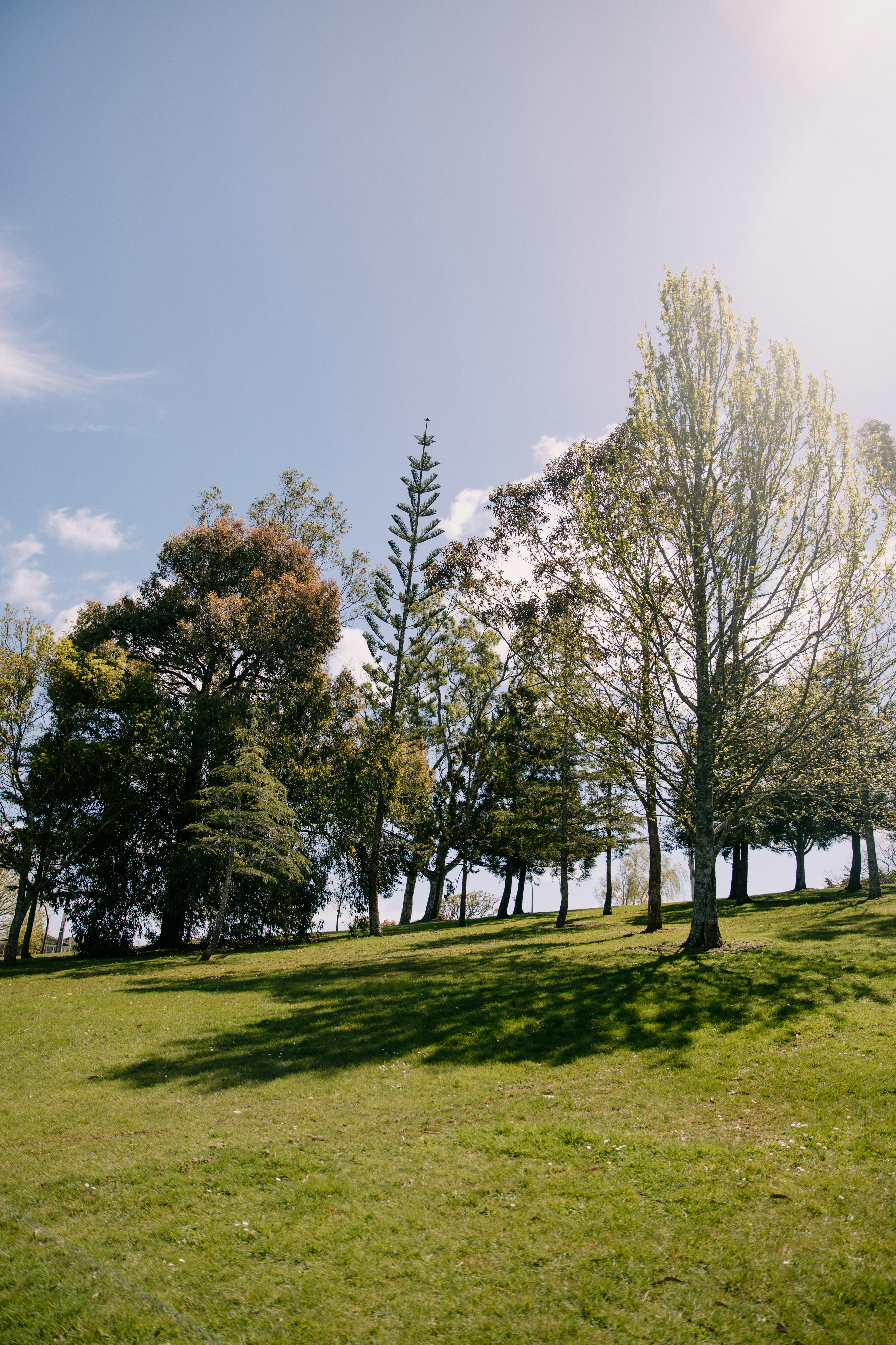 hamilton, new zealand image