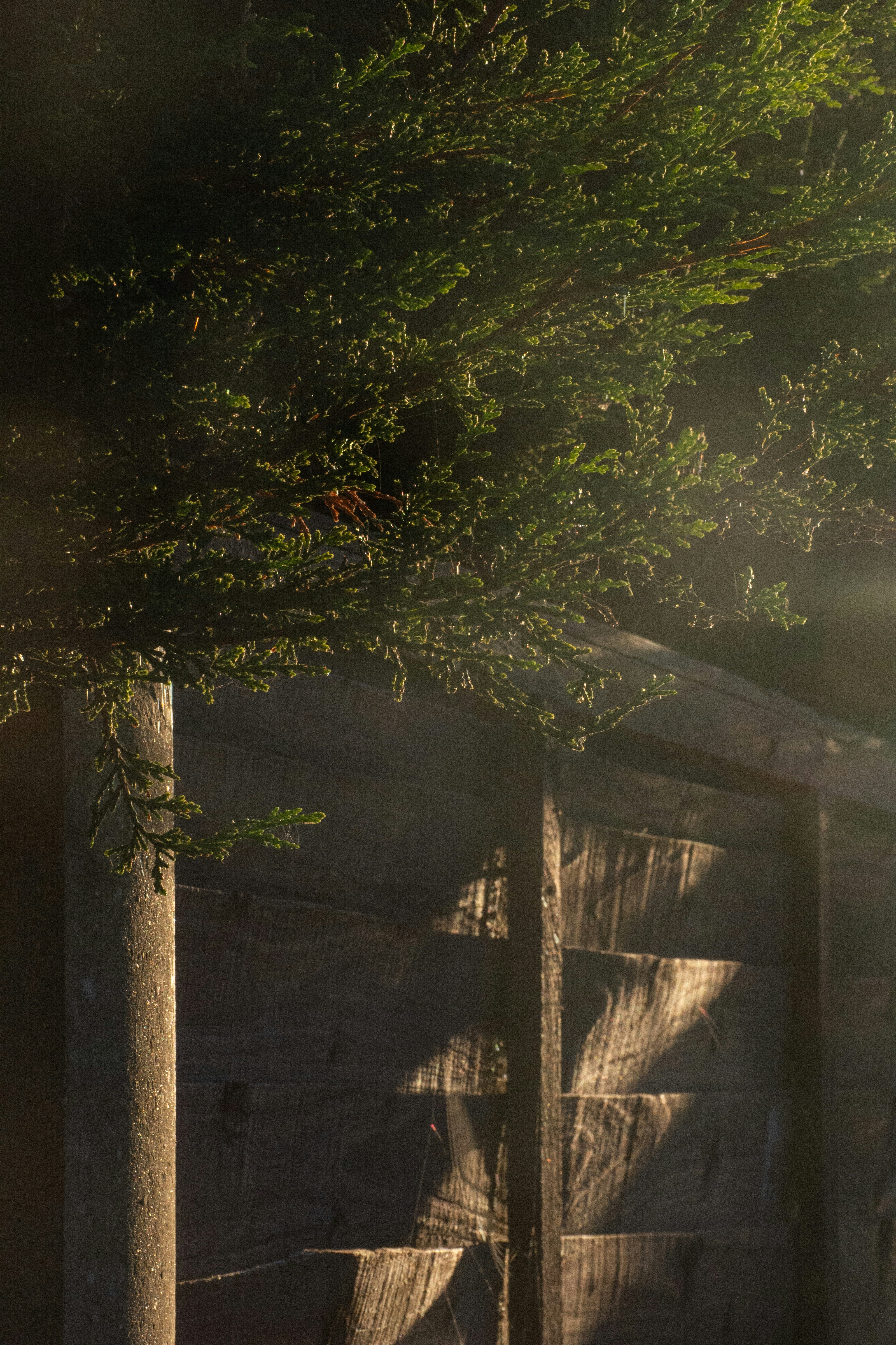 Photo by molllteaser