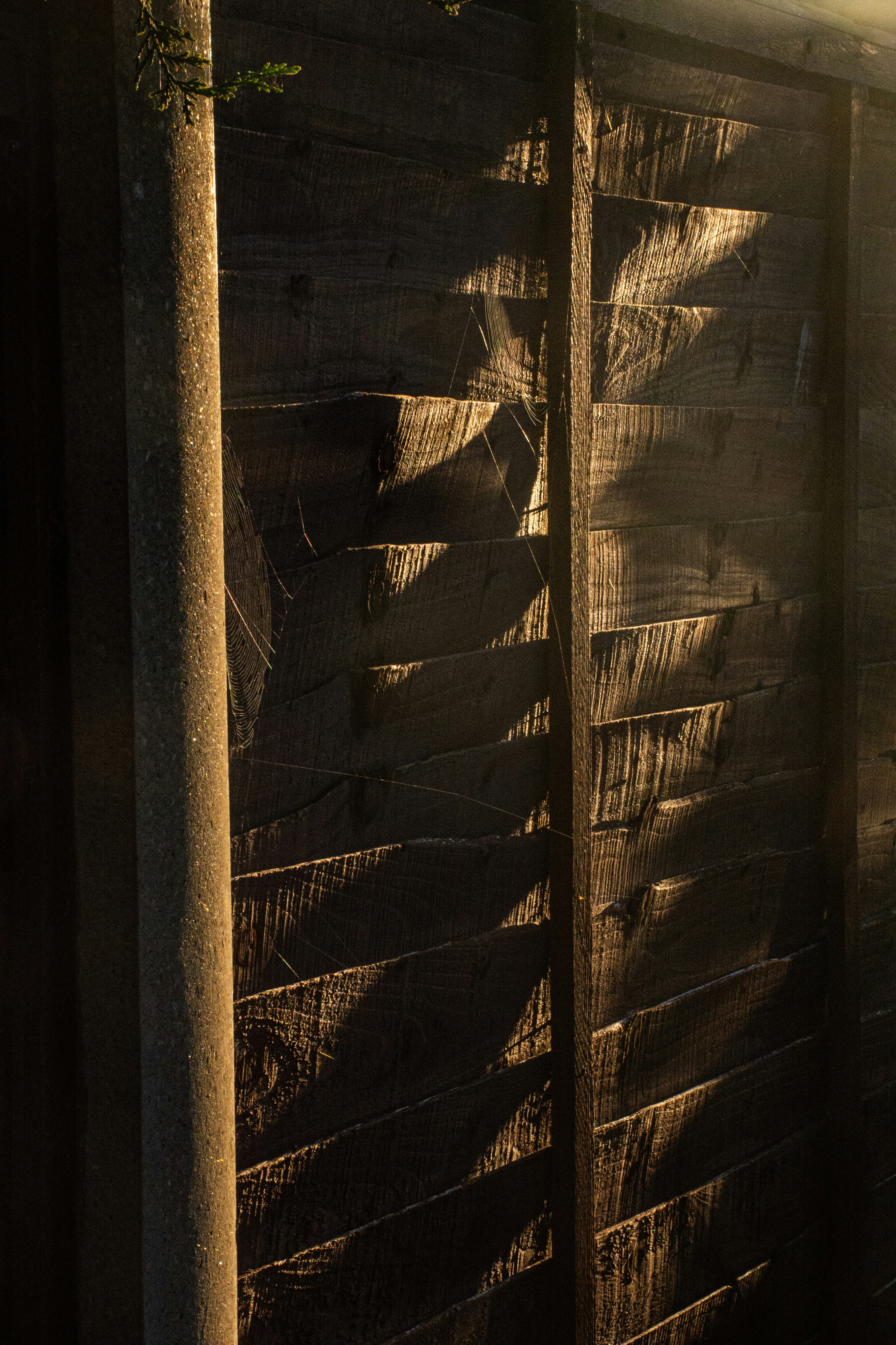 Photo by molllteaser