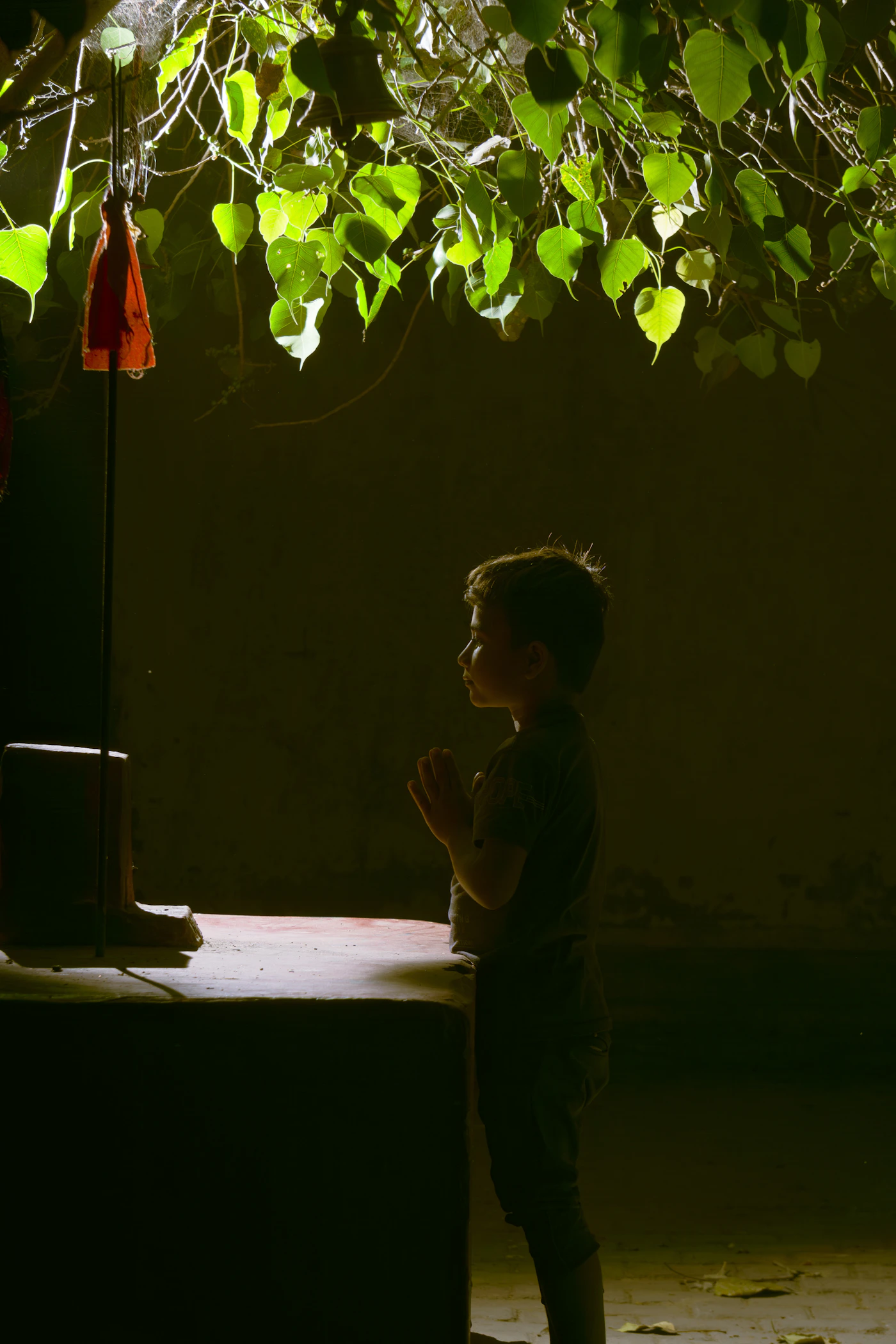 A child in quiet reflection beneath leaves and soft light