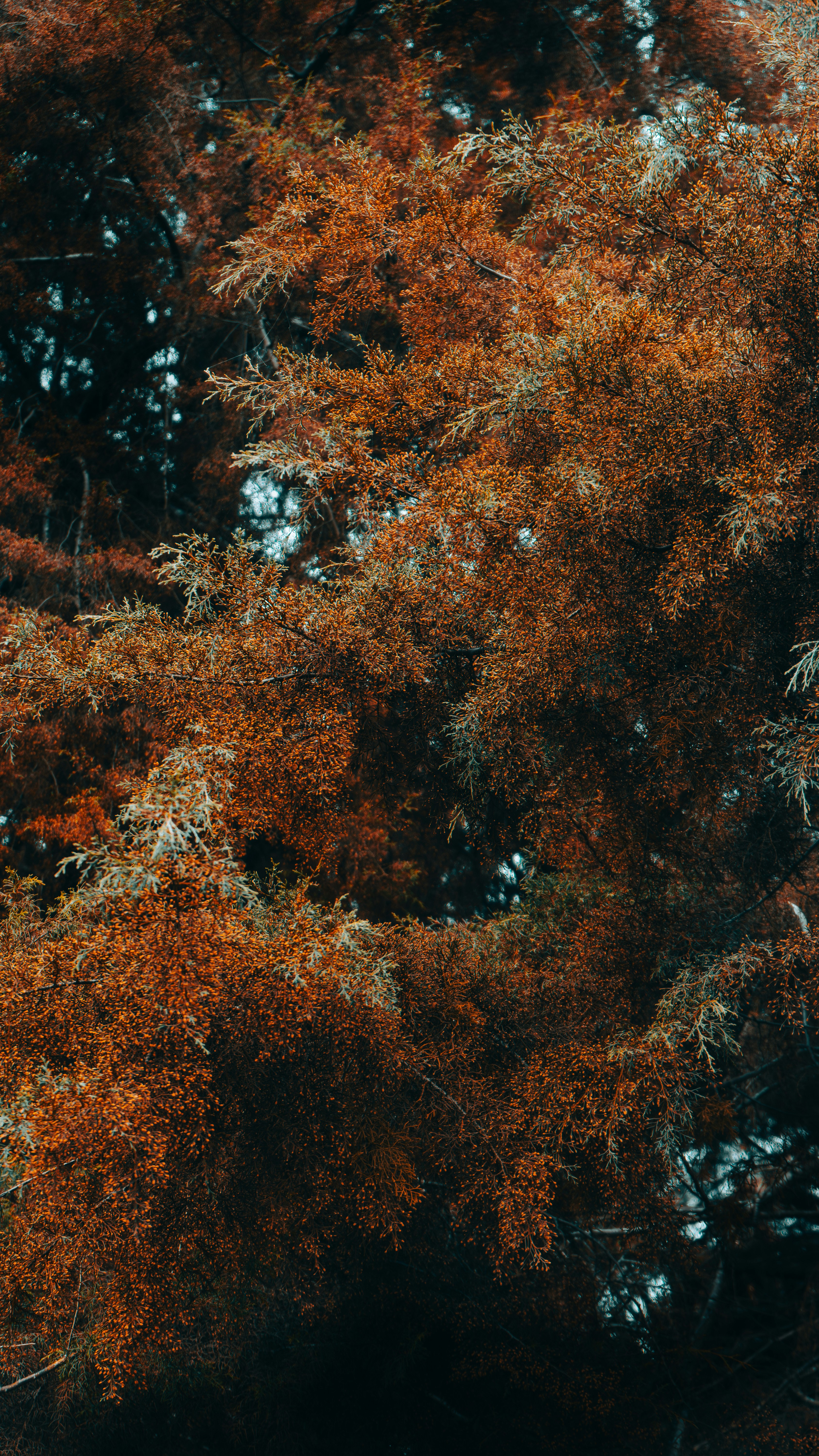 Photo by claudio_alba