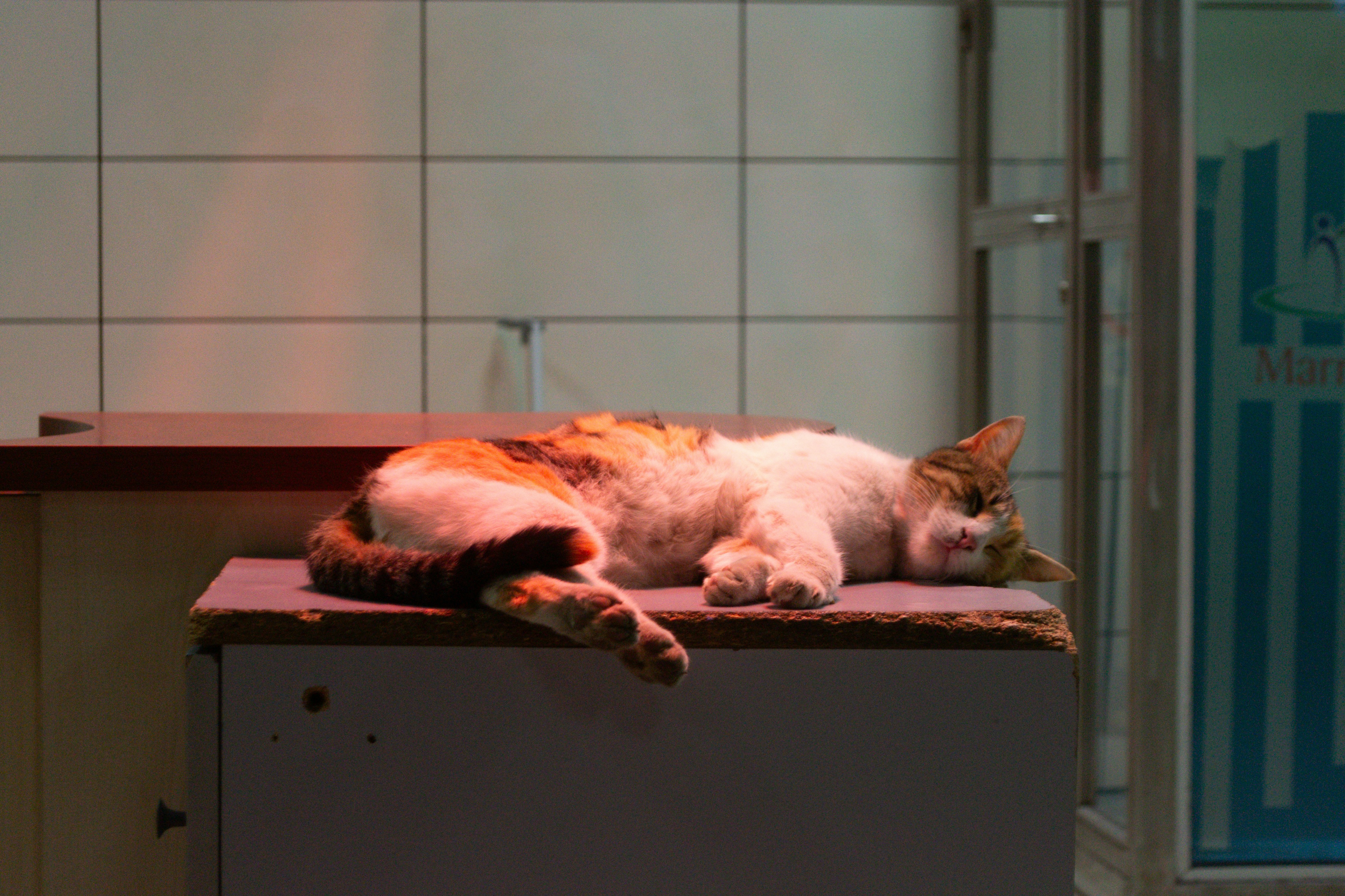 sleep peaceful night, wallpaper, 8 Penyebab Tidur Ngorok dan Cara Mengatasinya 5