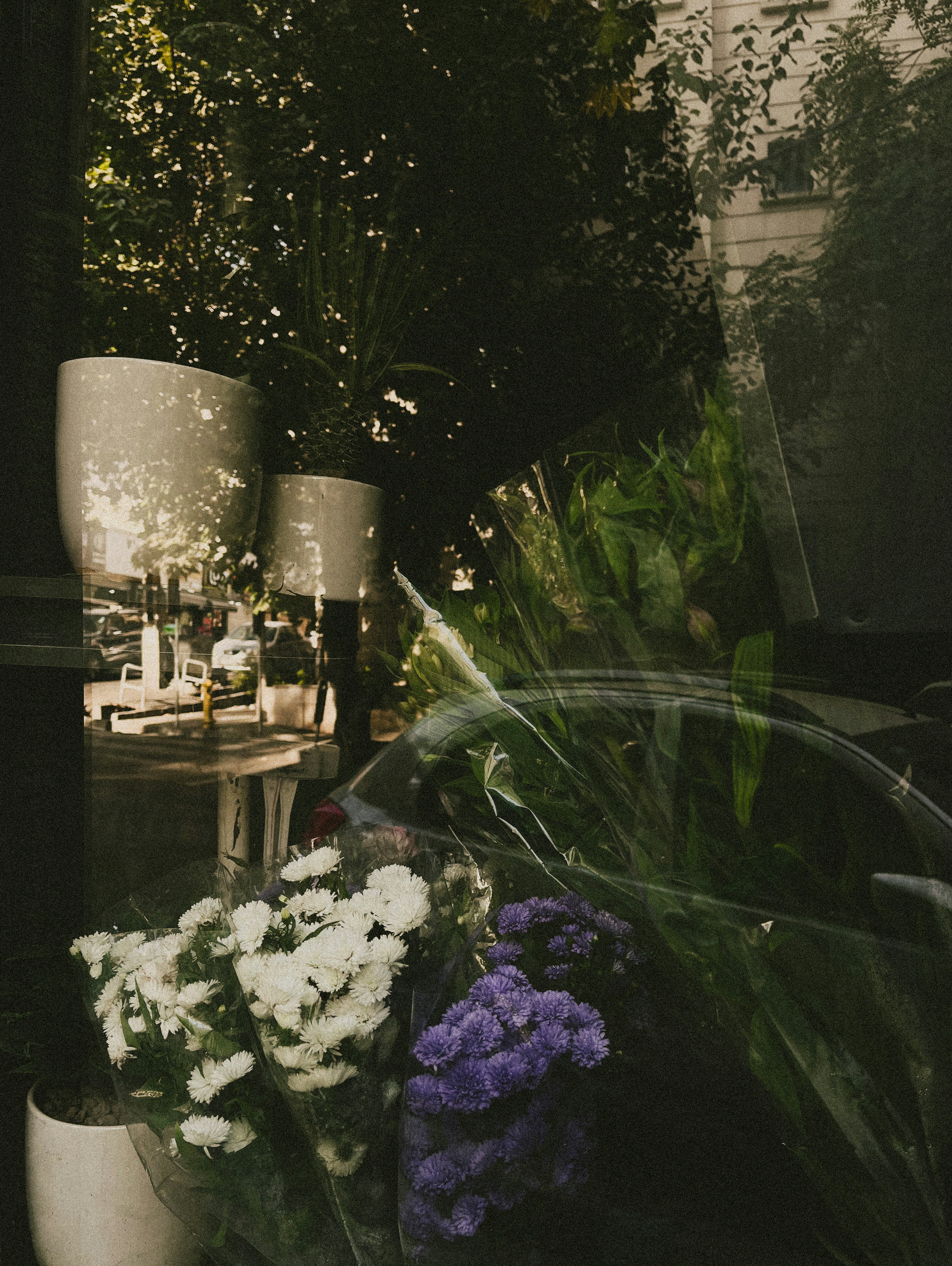 Photo by mdrezajalali