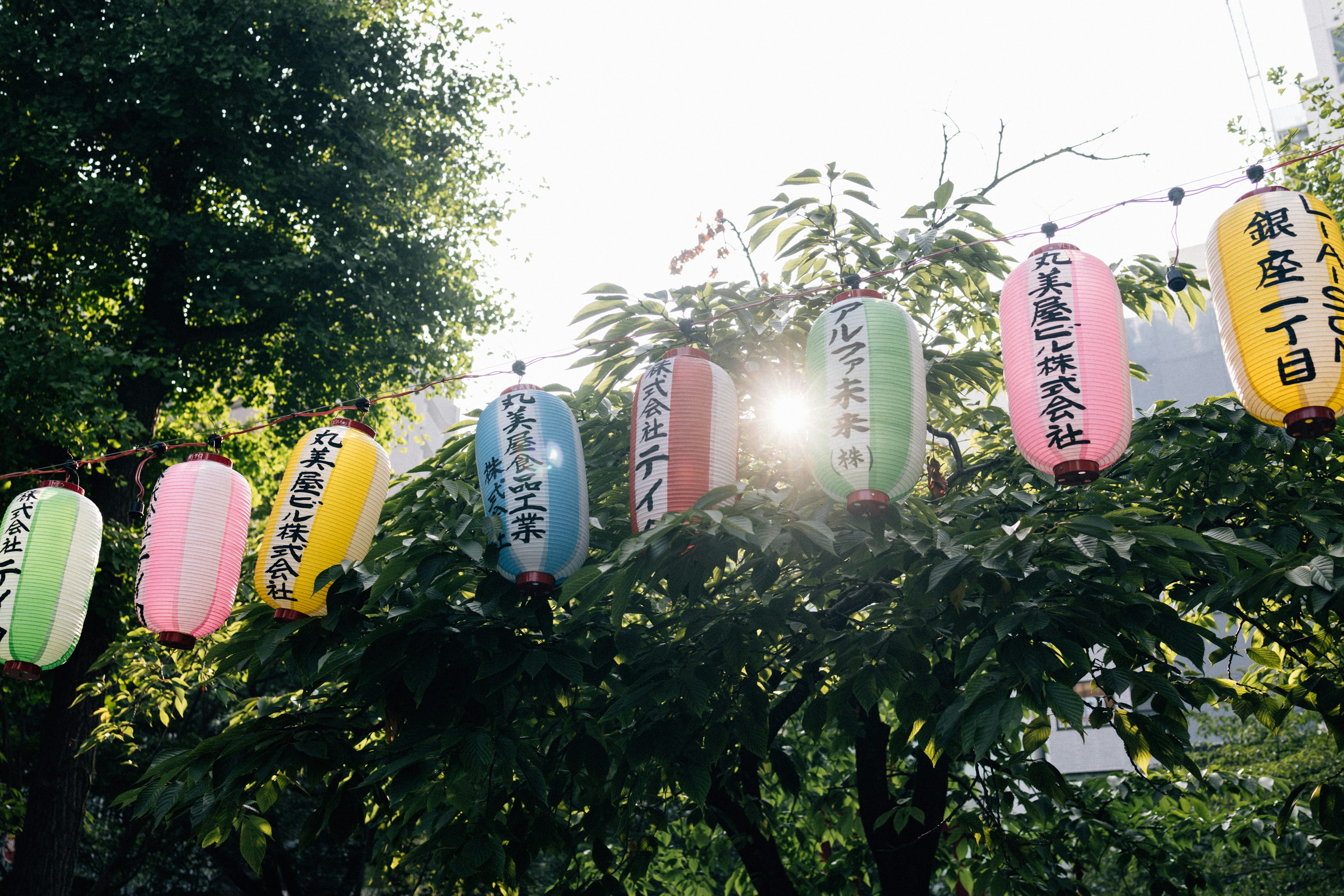 Photo by tsuyoshikozu