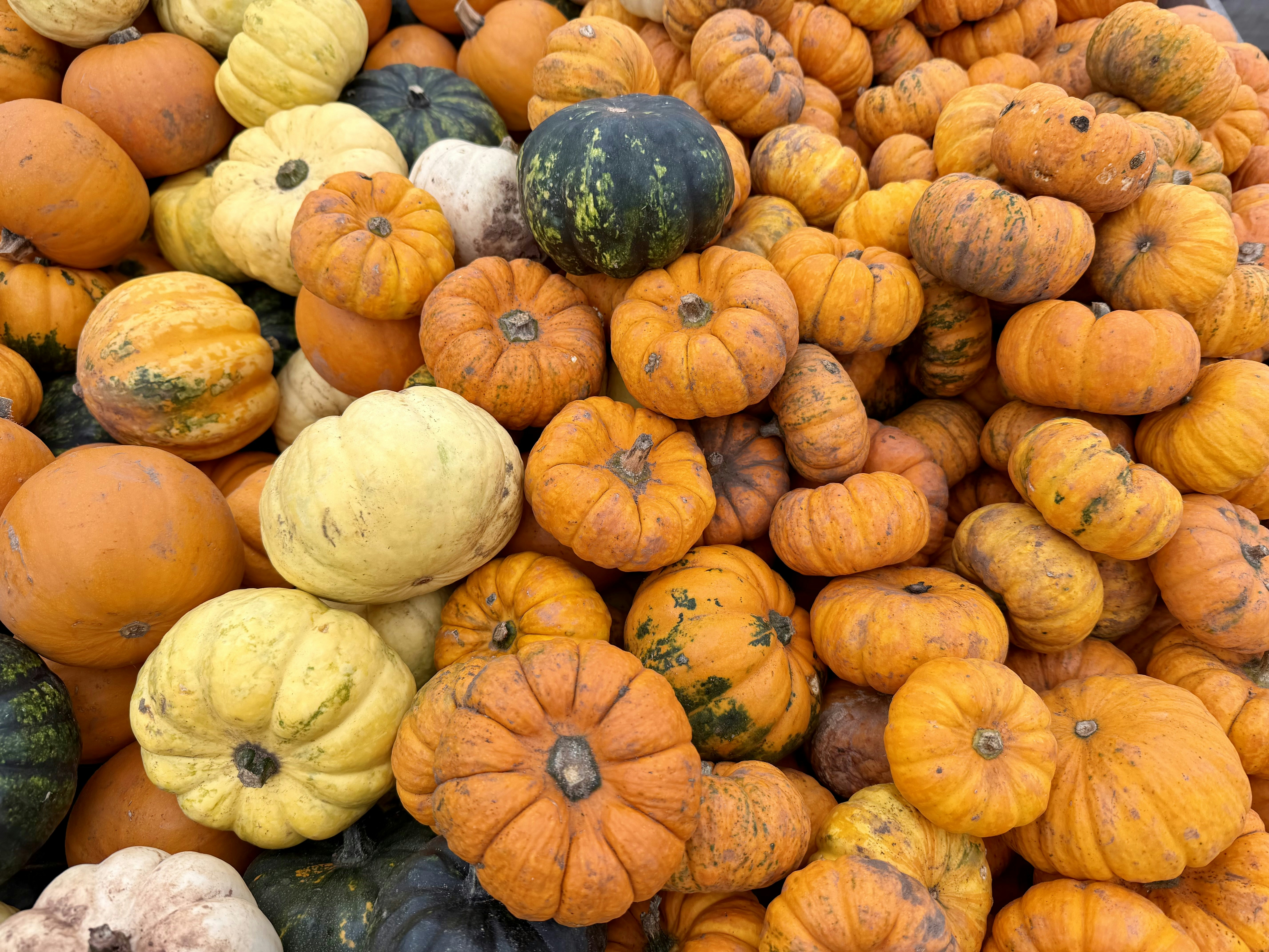 Photo by john_cameron