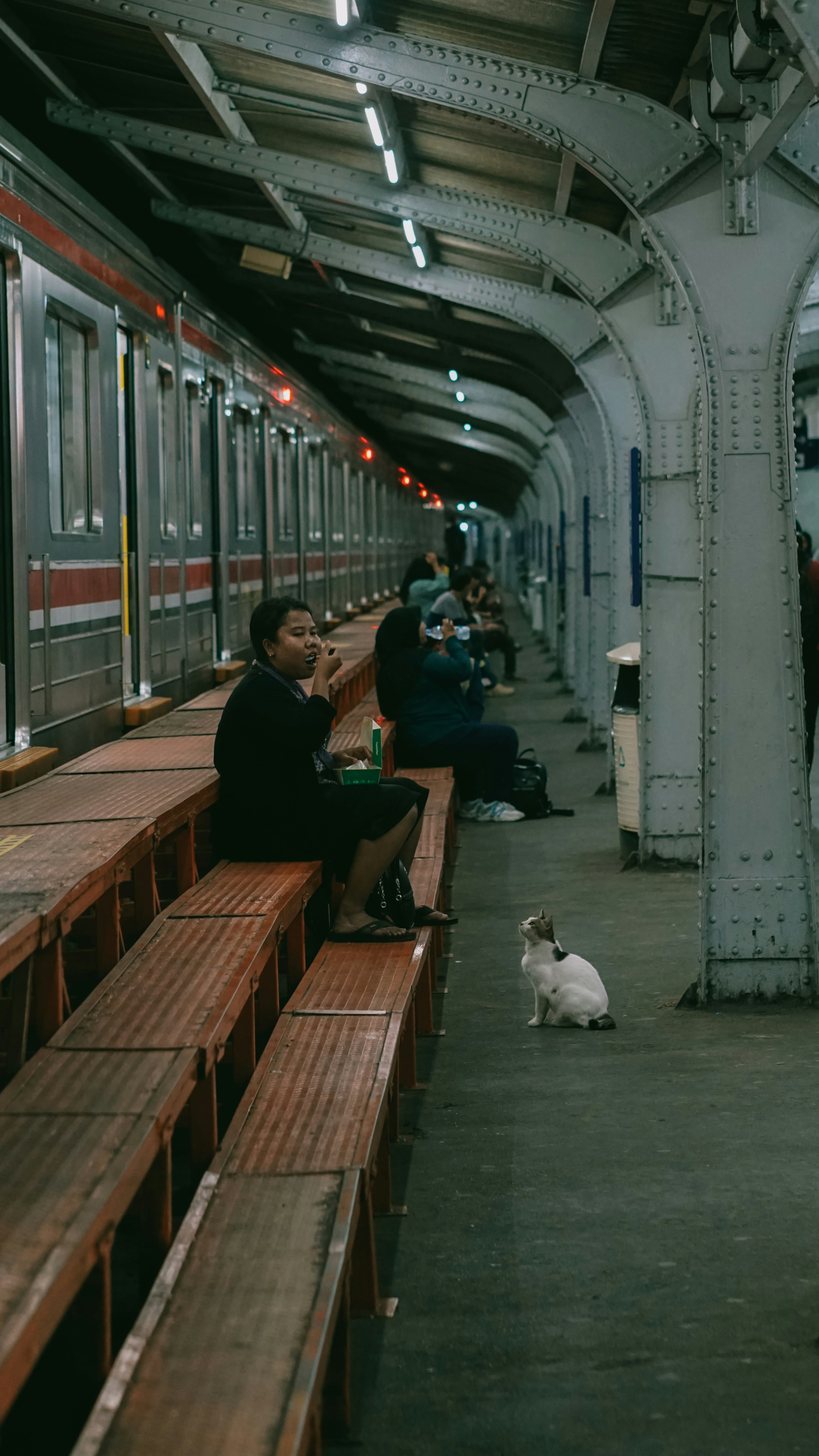 People and cat wait at a train station platform.