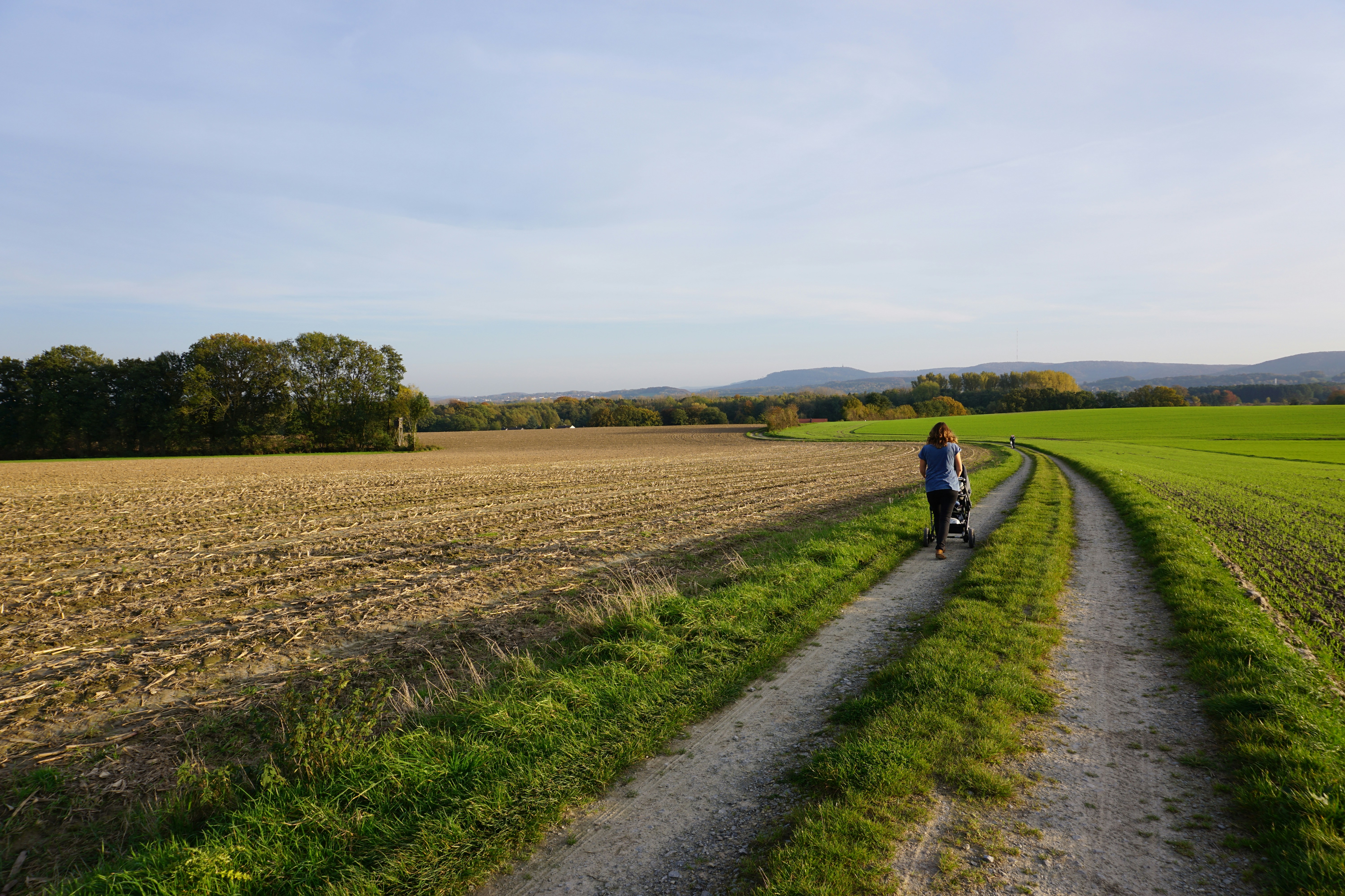 Woman walking dog on dirt path through fields.