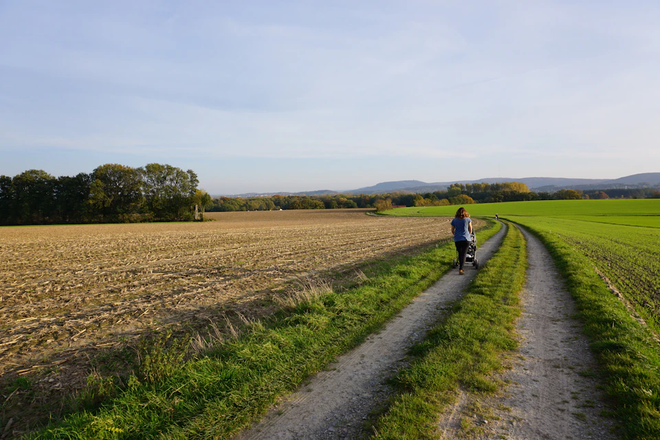 Lone figure walking along dirt path through field of tall grass and wildflowers outdoors