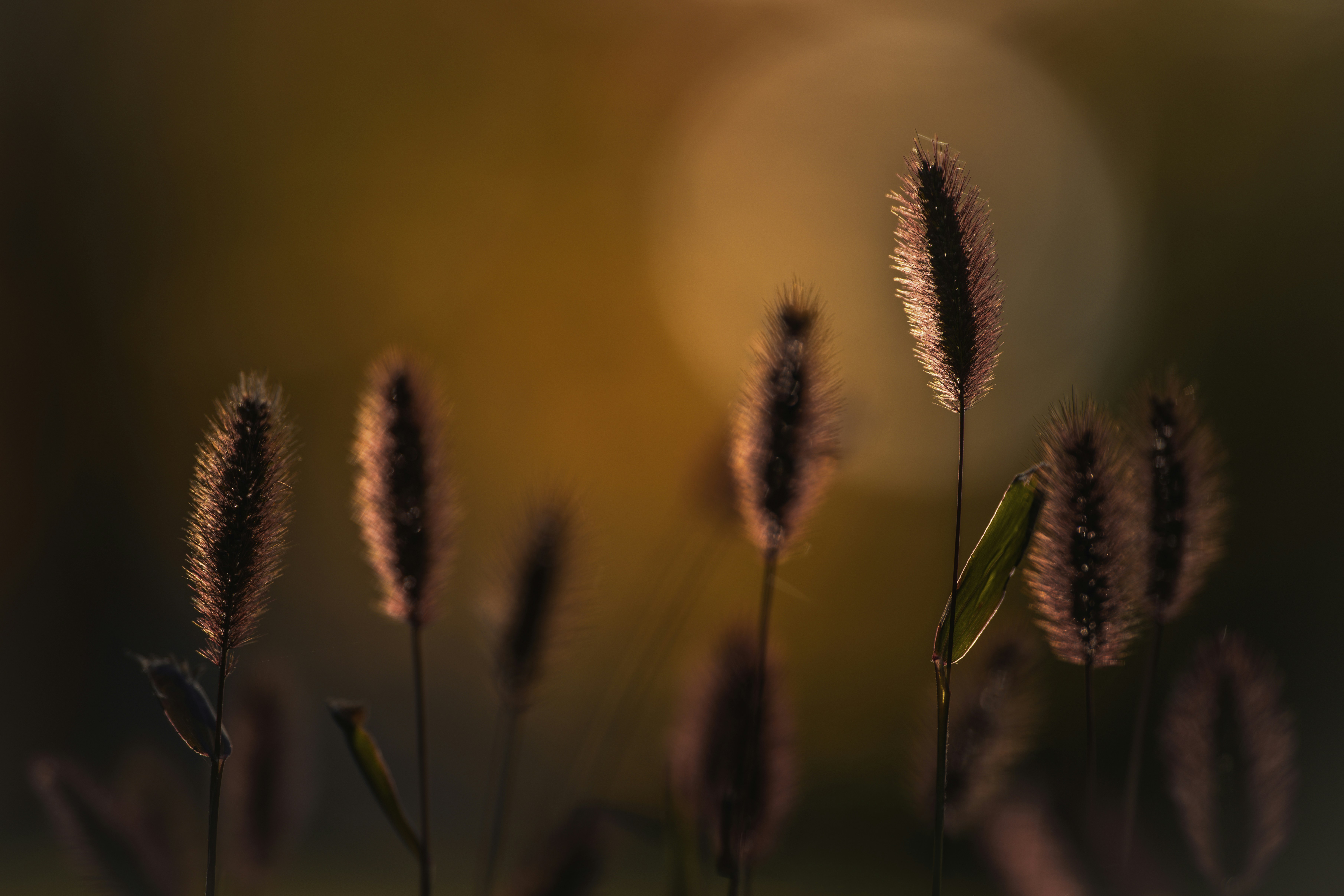 A Novice'S Introduction Of Different Church Kinds Reveals Distinct Spiritual Journeys