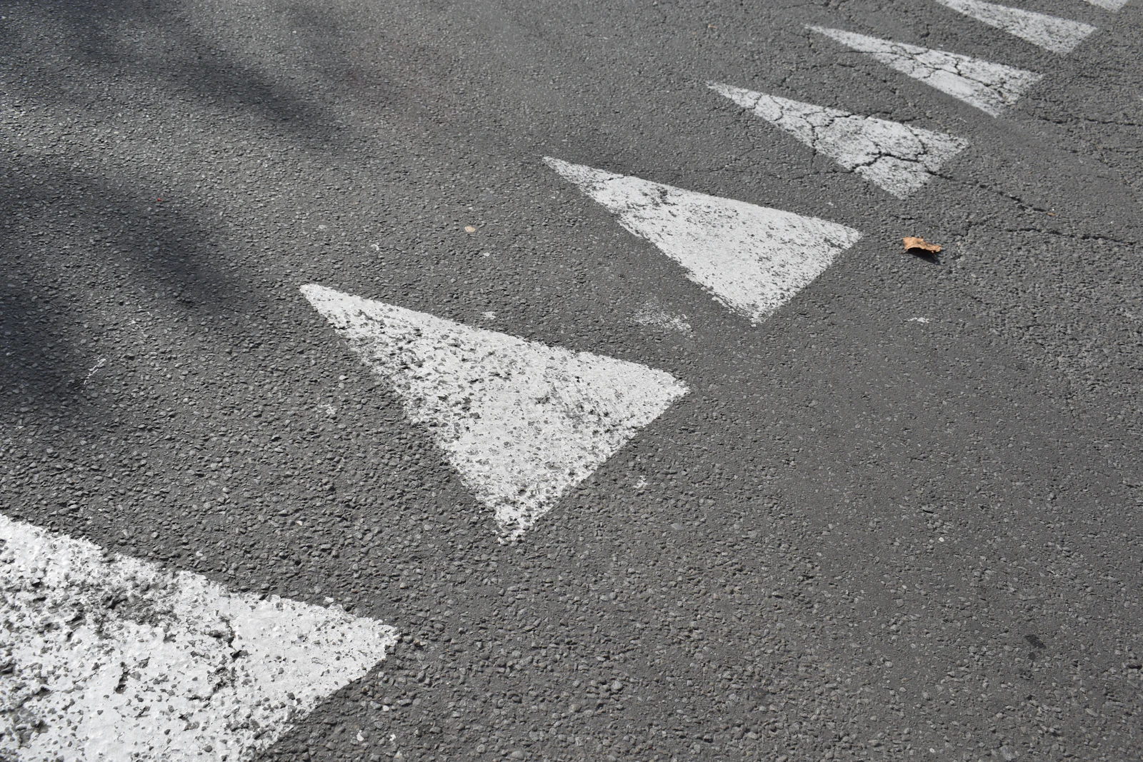 Fresh white road markings on asphalt