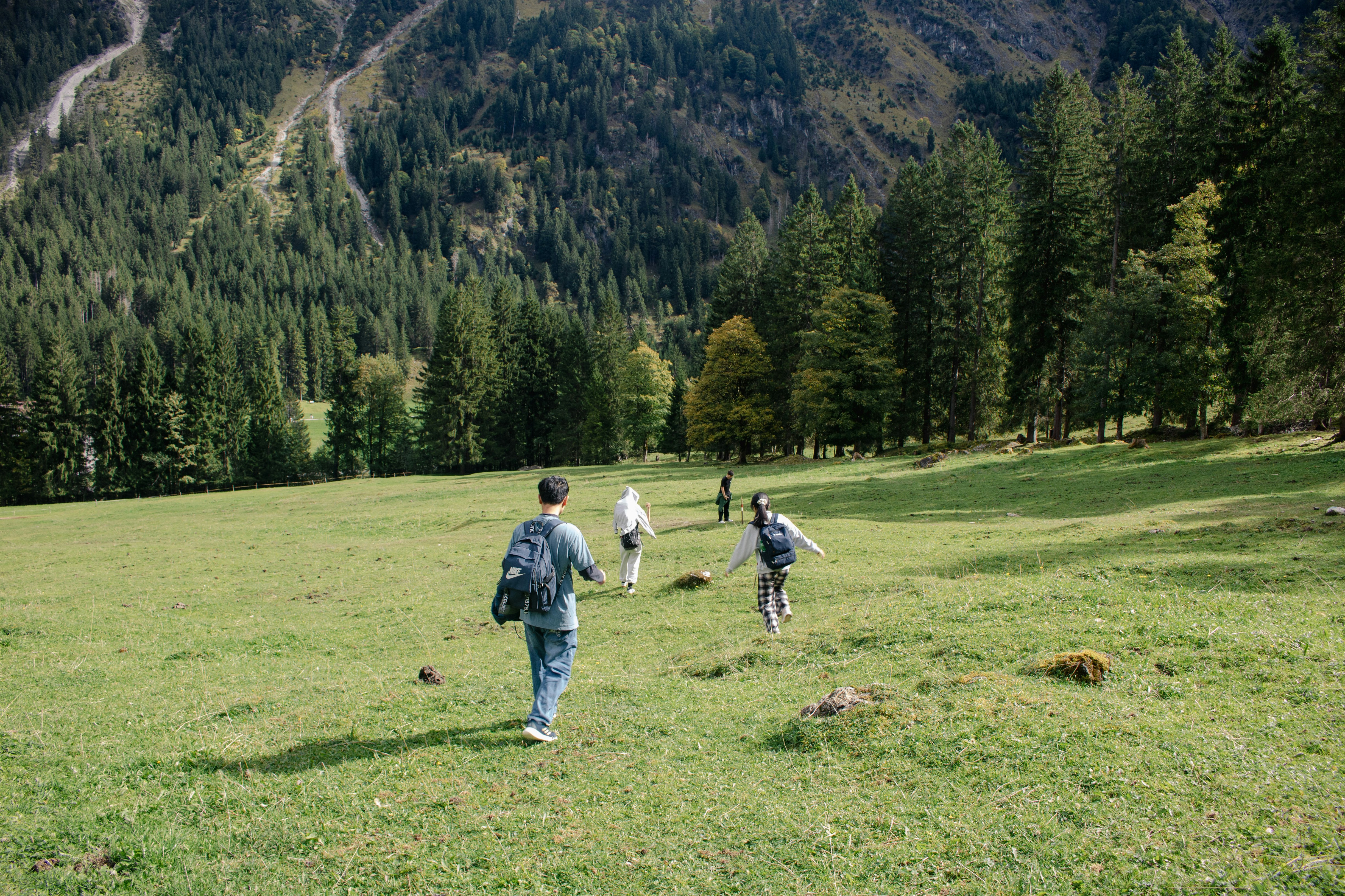 family camping forest landscape, wallpaper, Camping with Kids: Essential Tips for Your First Trip 2