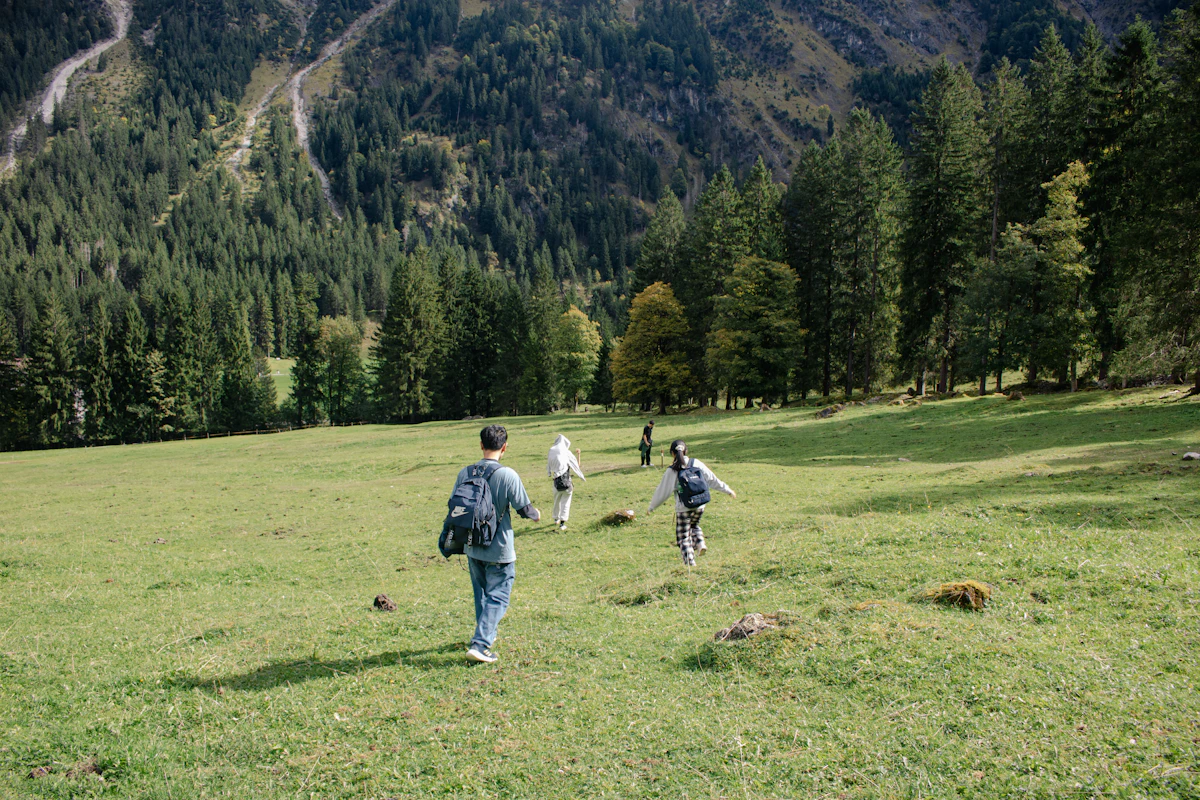 People hiking across a grassy field towards forest