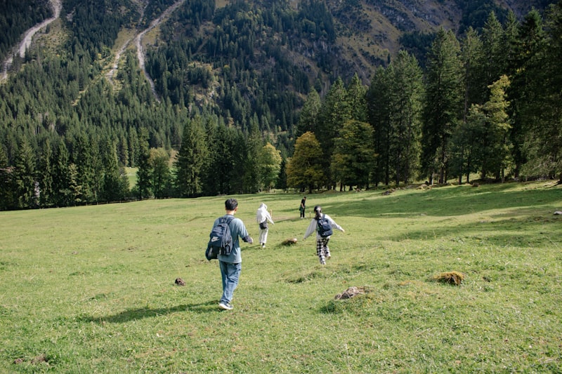 People hiking across a grassy field towards forest