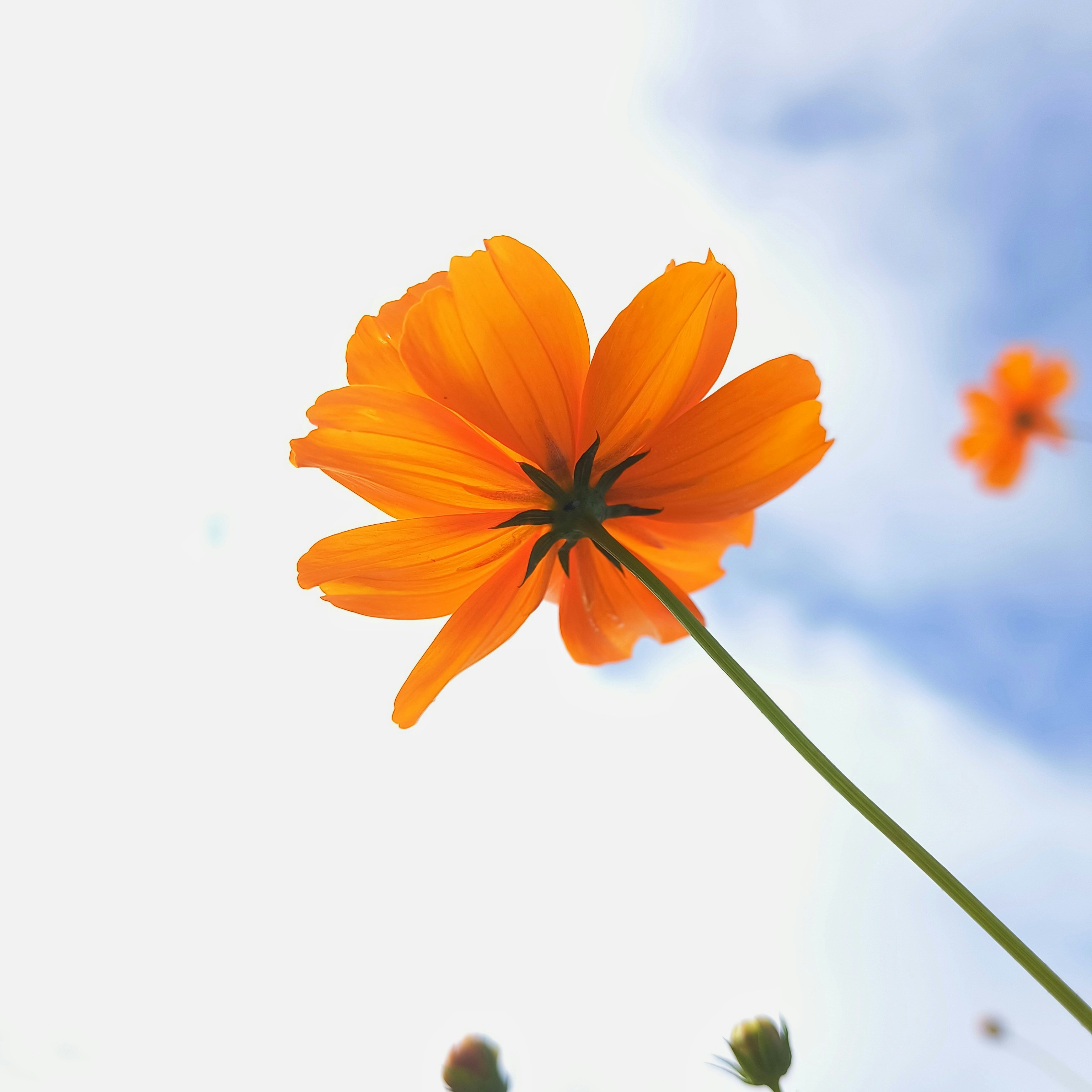 Photo by yashodhan_mohite