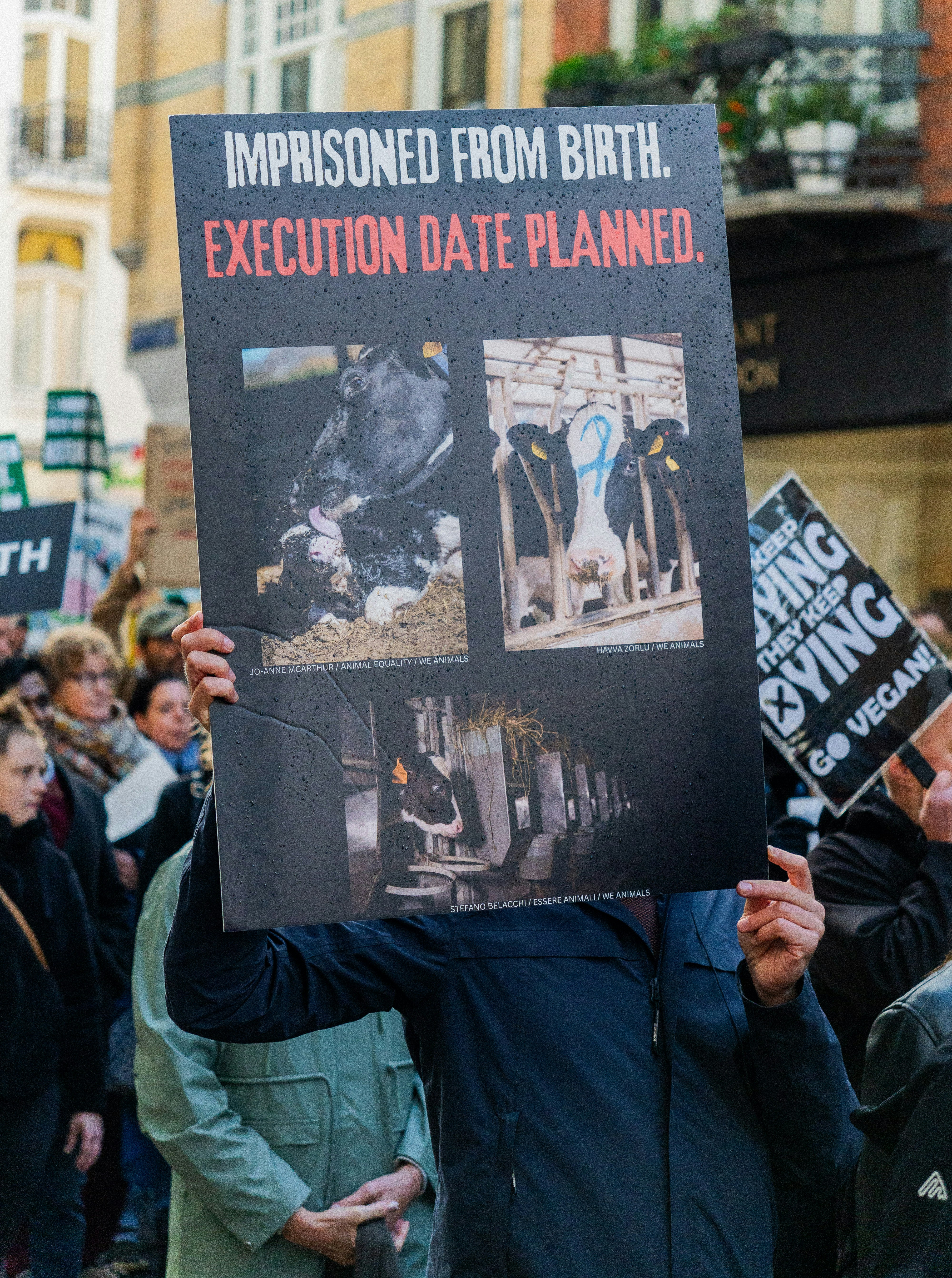 Manifestante tiene un cartello sulla prigionia degli animali e sul veganismo.