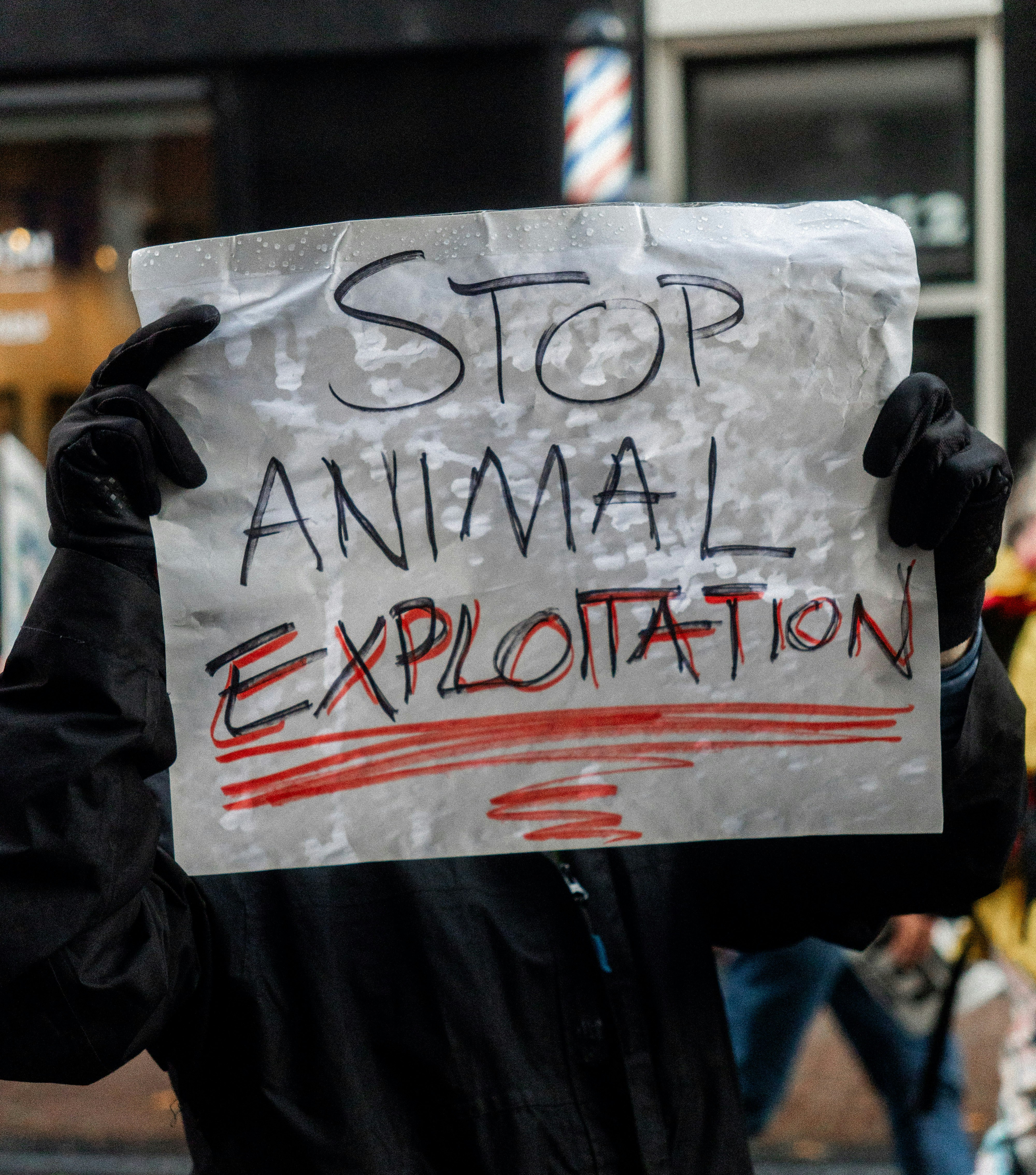 Person holds sign saying stop animal exploitation