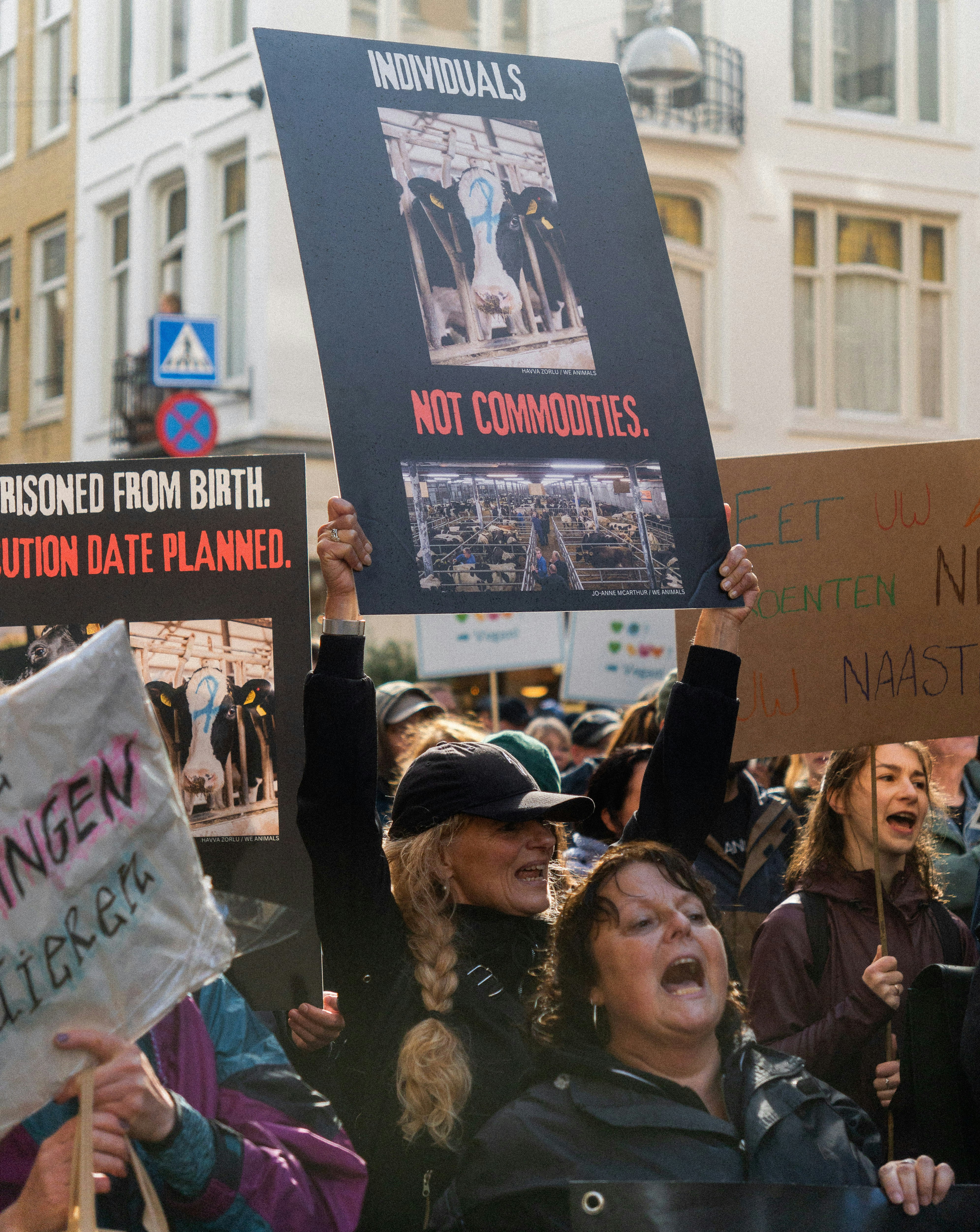 The Evolution of Ethical Gem Sourcing in 2026: Blockchain, Traceability & Collector Trust