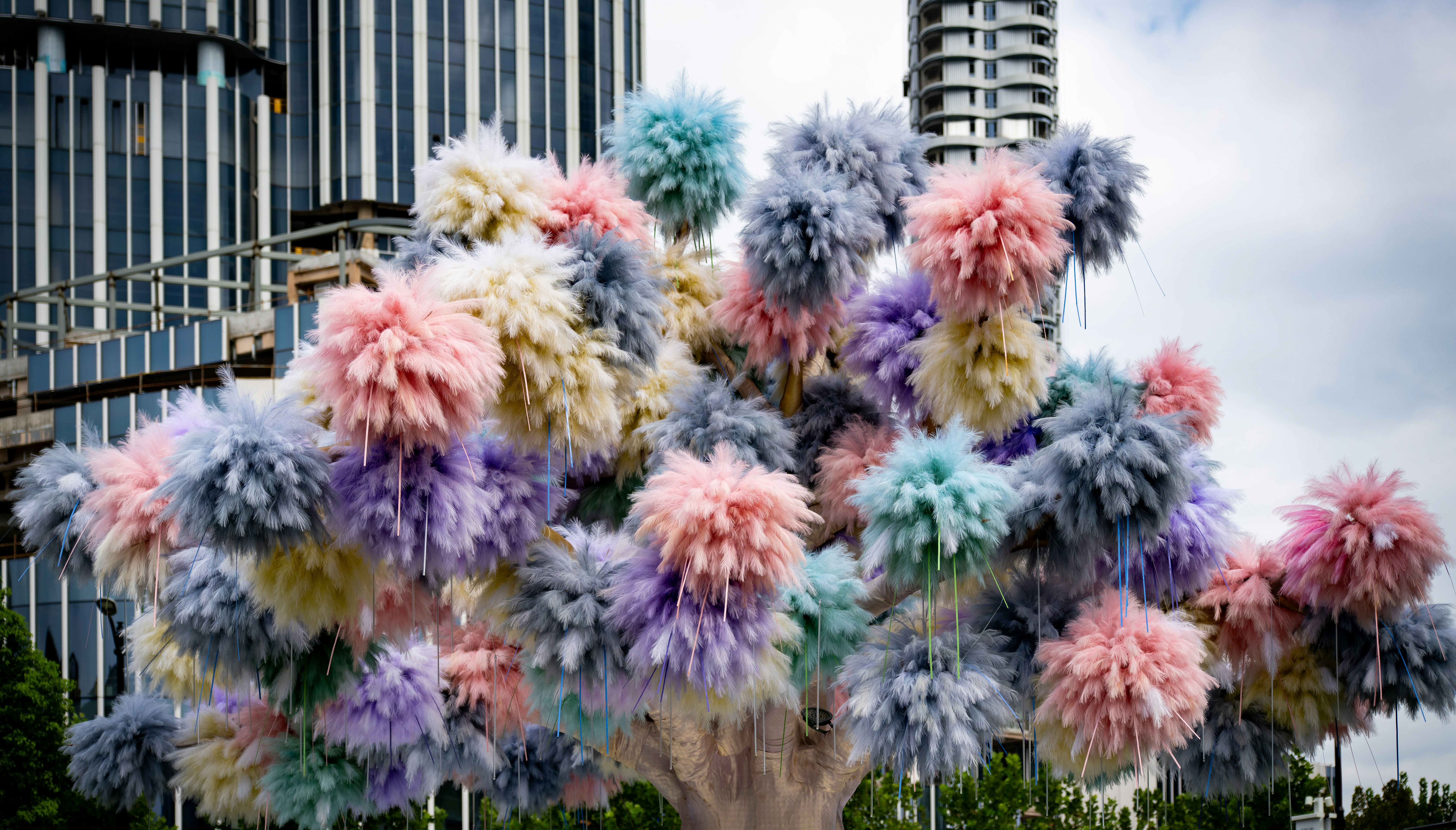Colorful fluffy pom-poms on a tree with buildings behind.