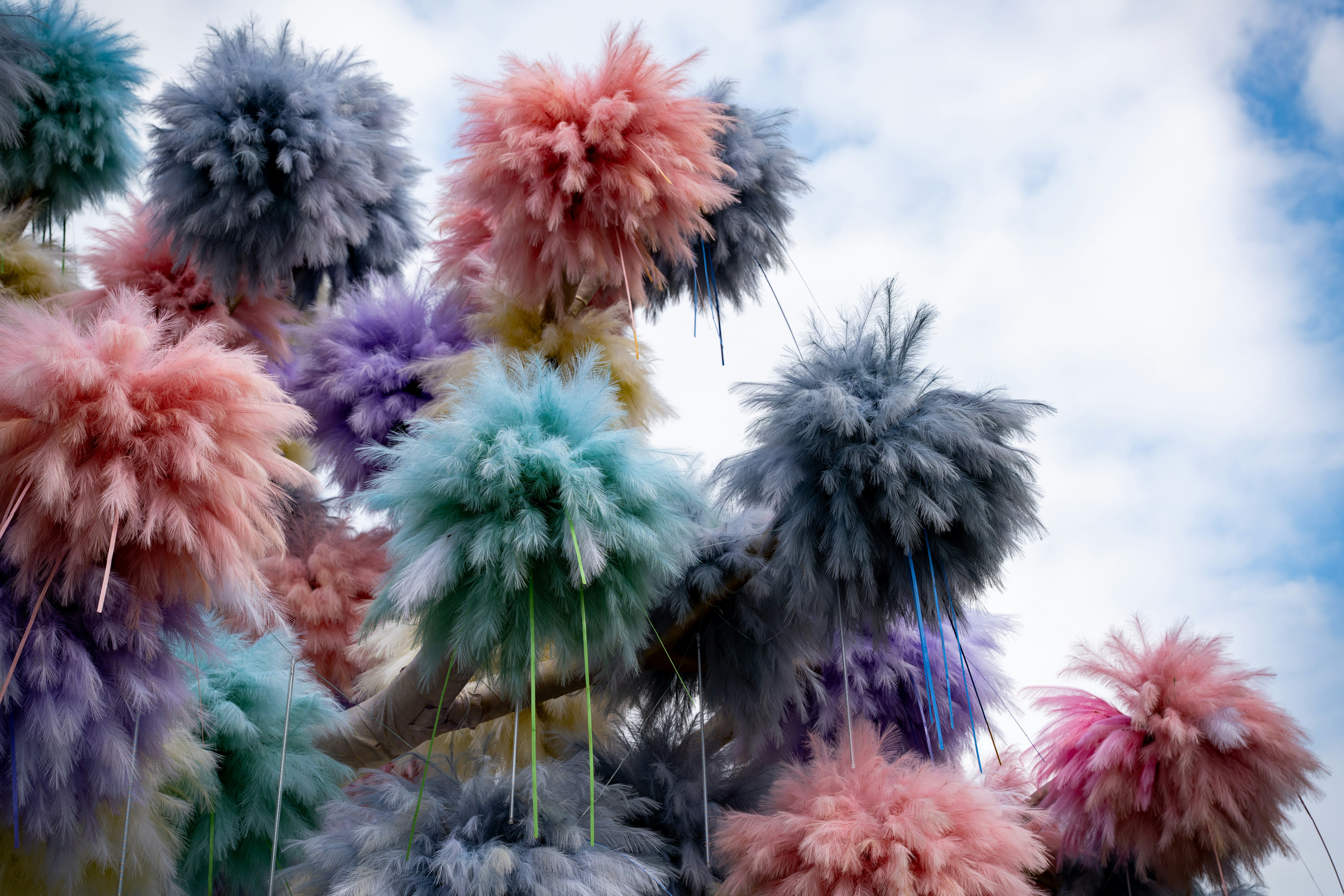 event planning pastel, wallpaper, Plus-Ones and Guest List Boundaries: A Guide 3