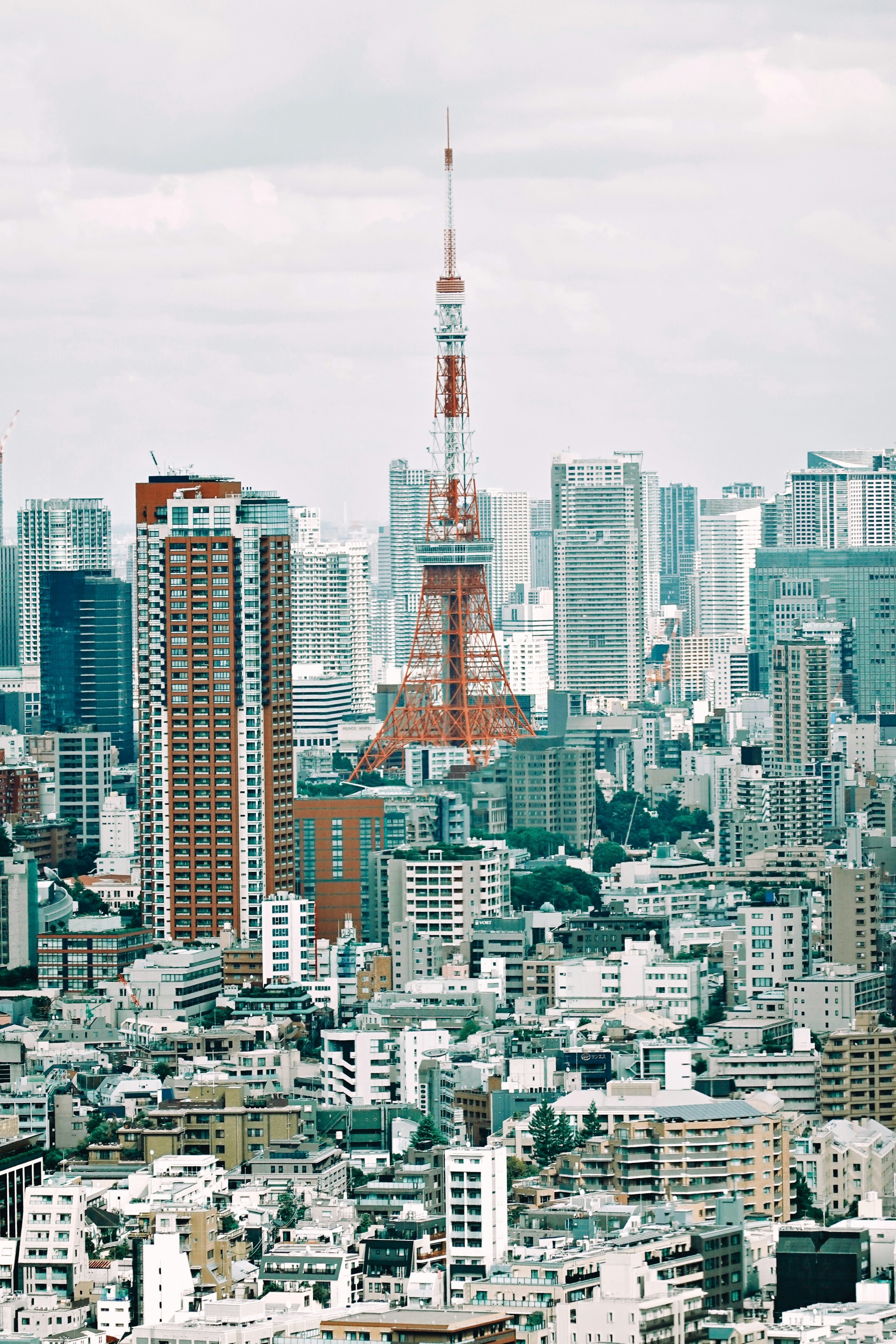 Photo by yungchi1104