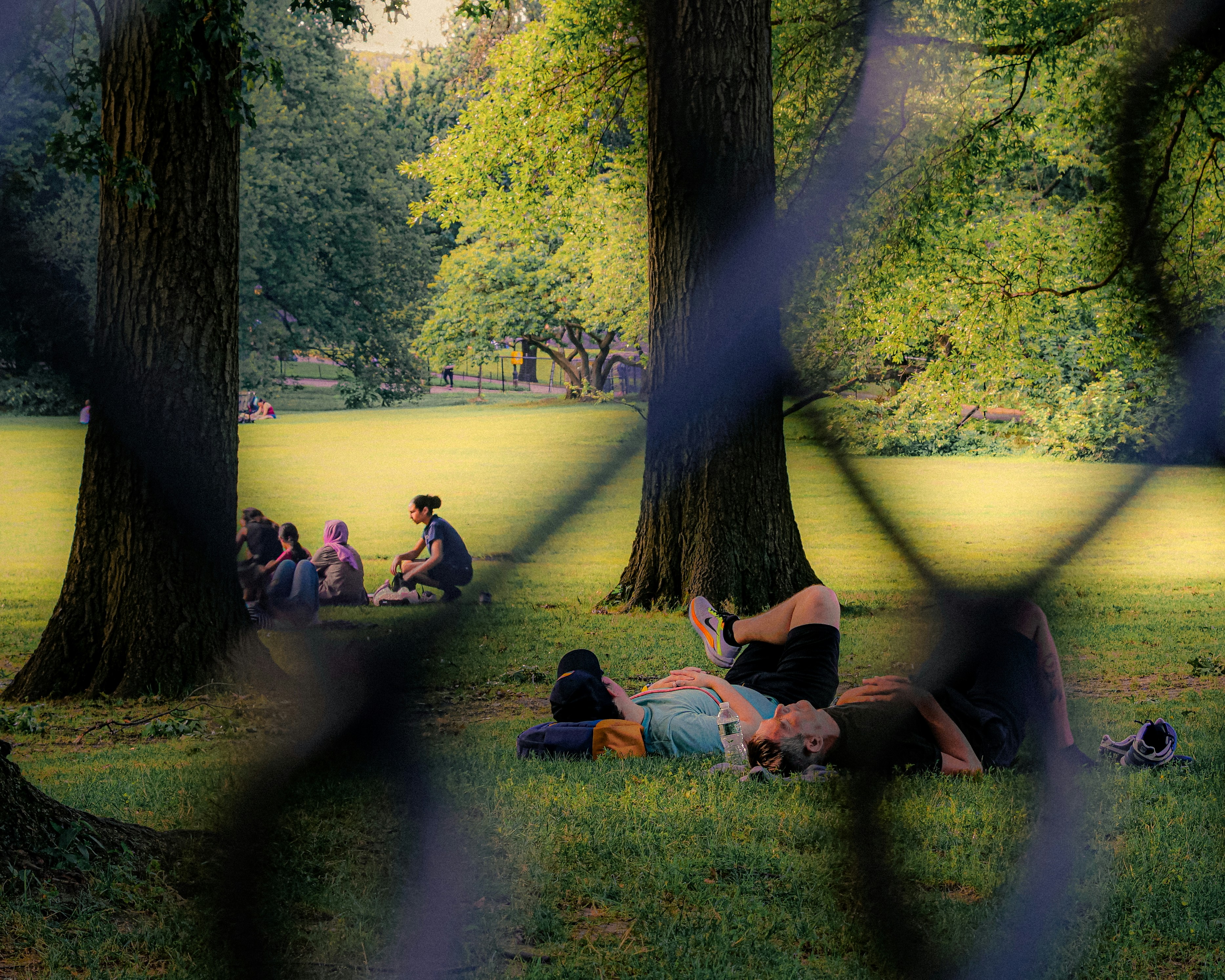 Photo by hannanfilms