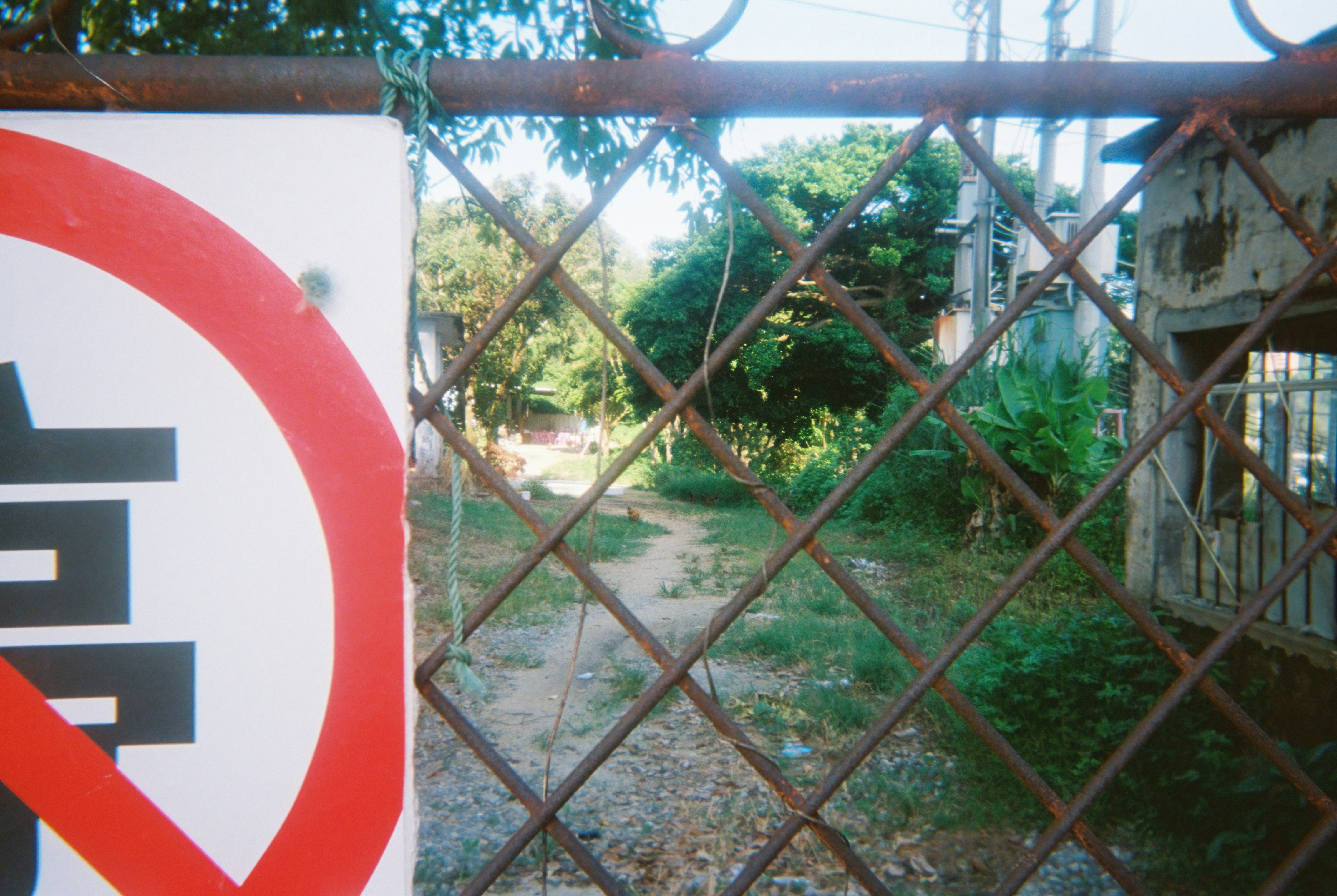 Photo by zollyphotograph