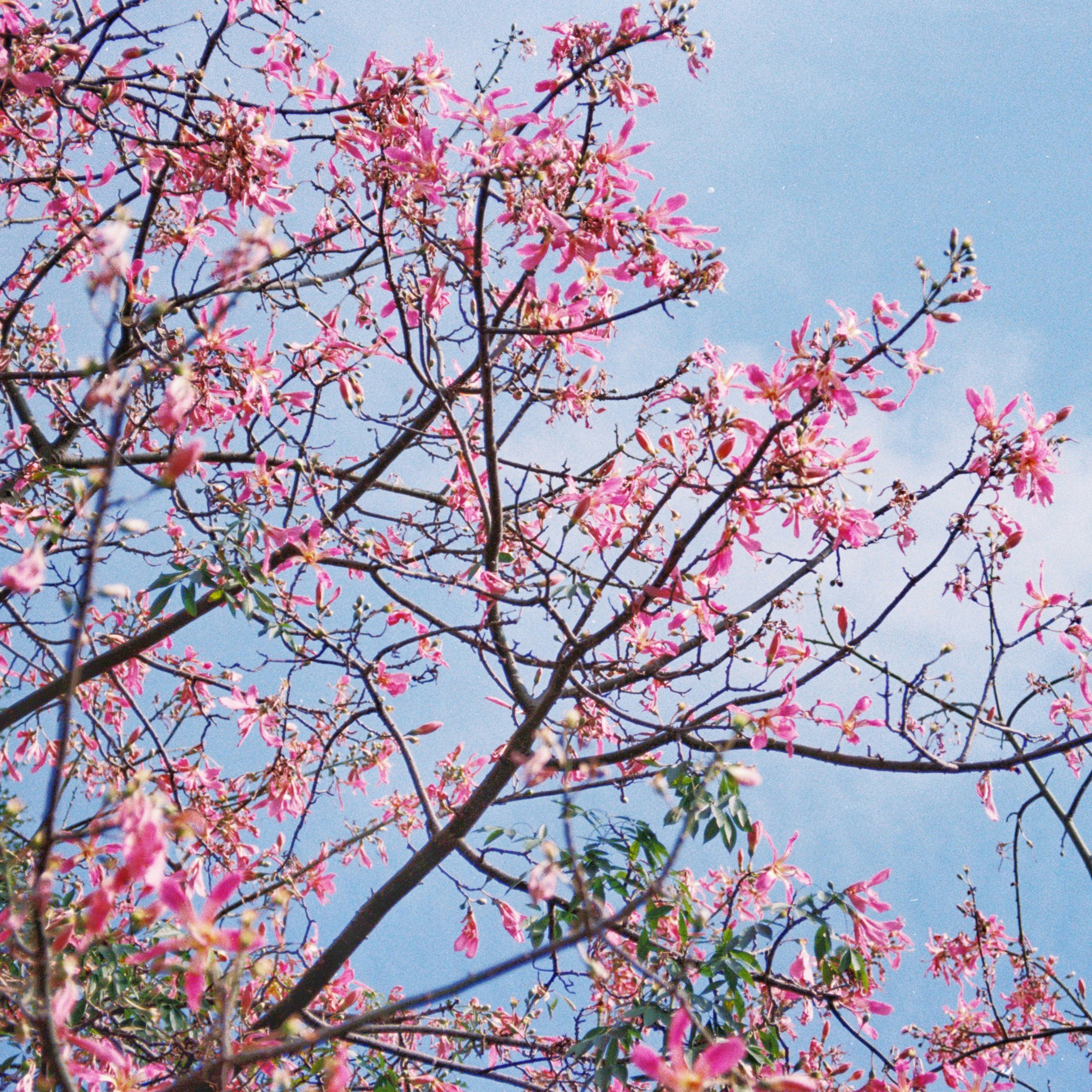 Photo by zollyphotograph