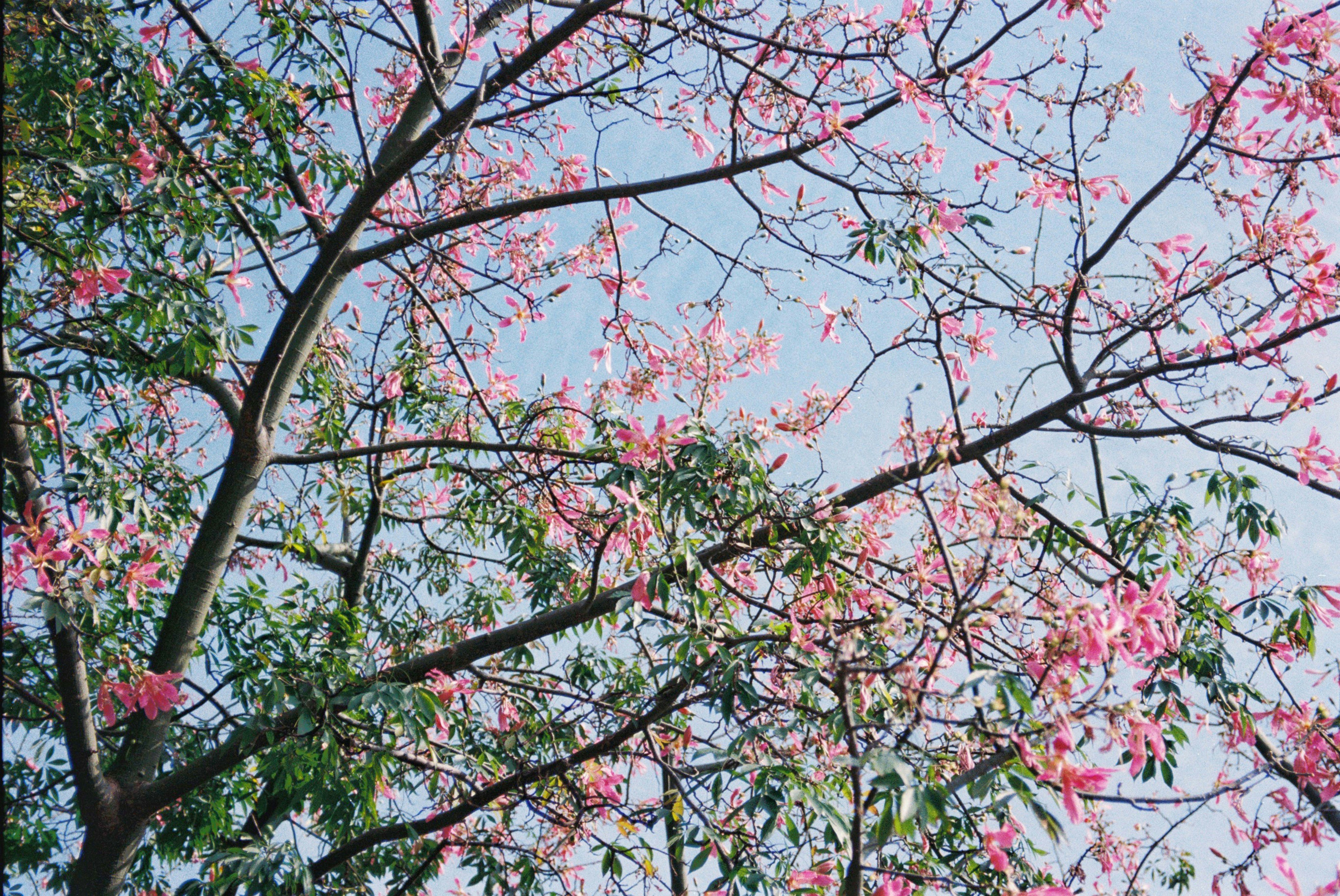 Photo by zollyphotograph