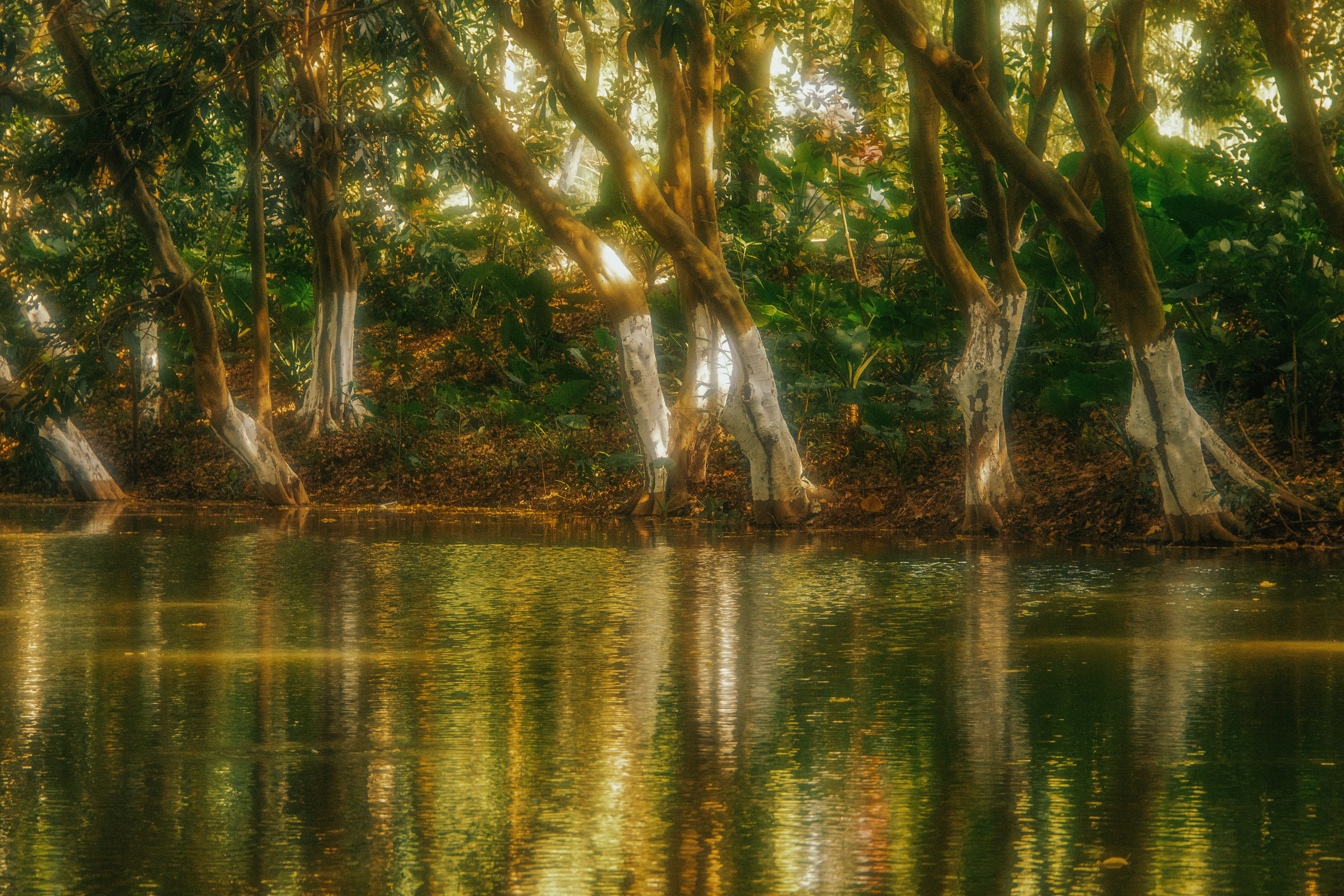 Photo by zollyphotograph