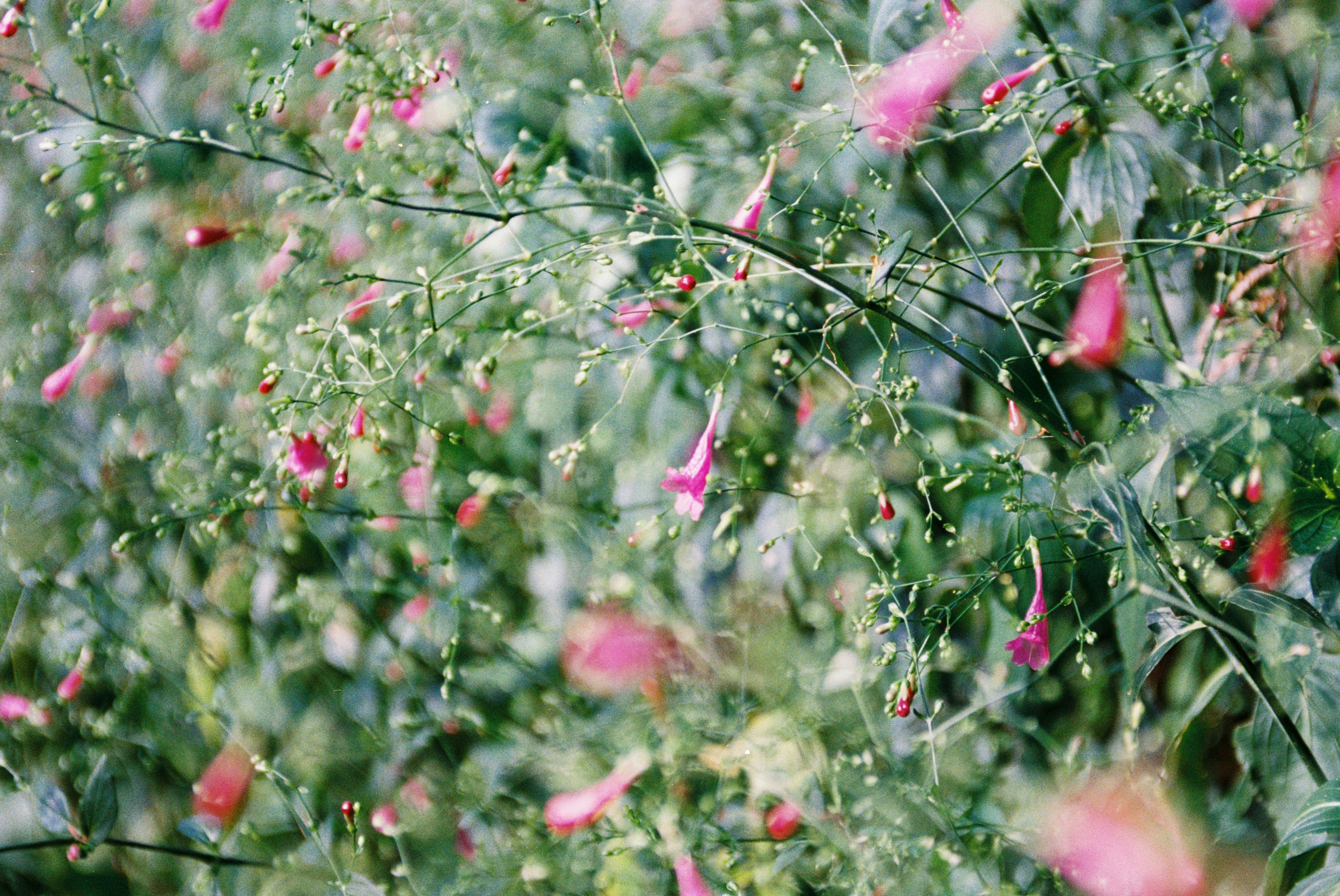 Photo by zollyphotograph