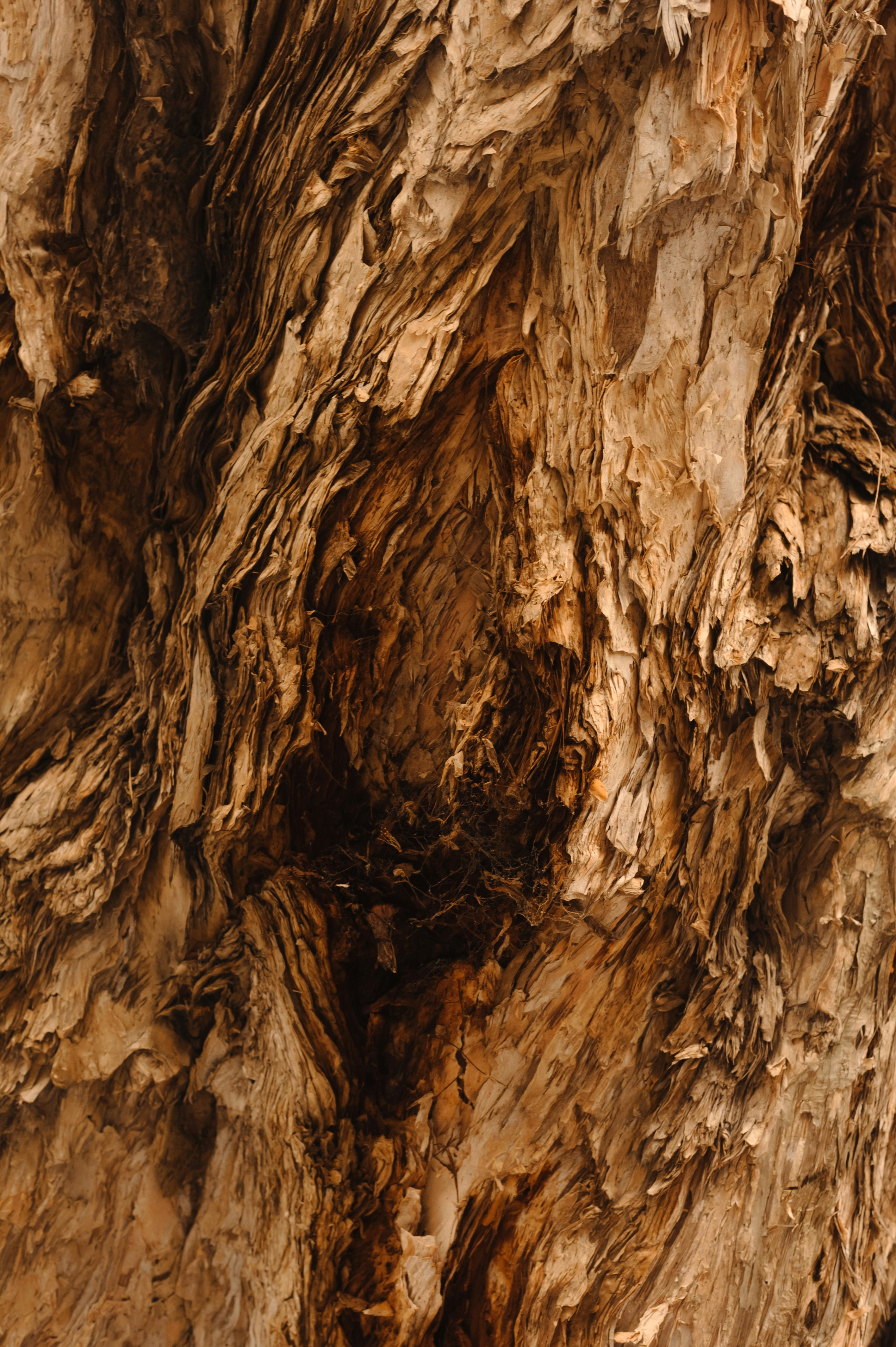 Photo by zollyphotograph