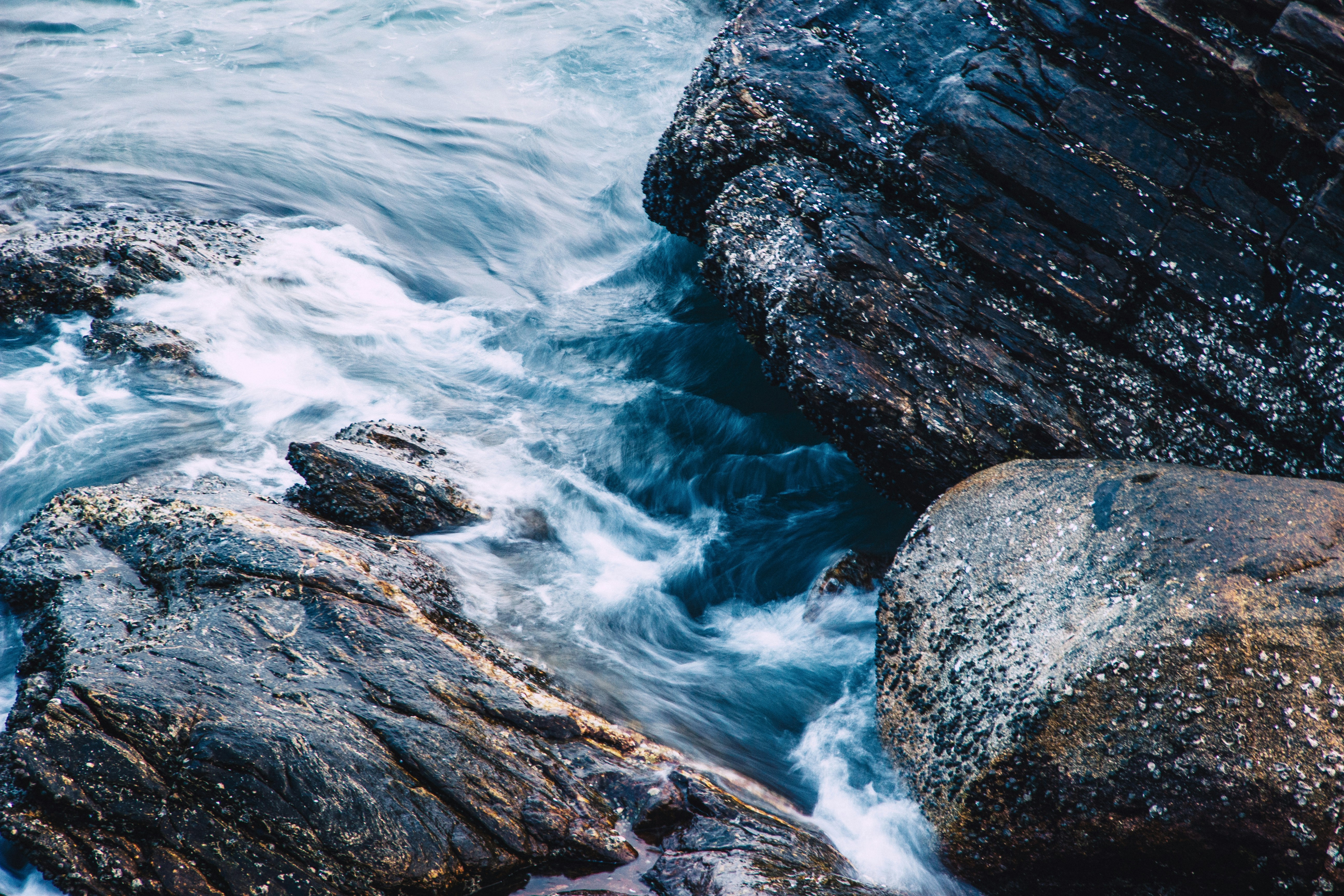 Photo by zollyphotograph