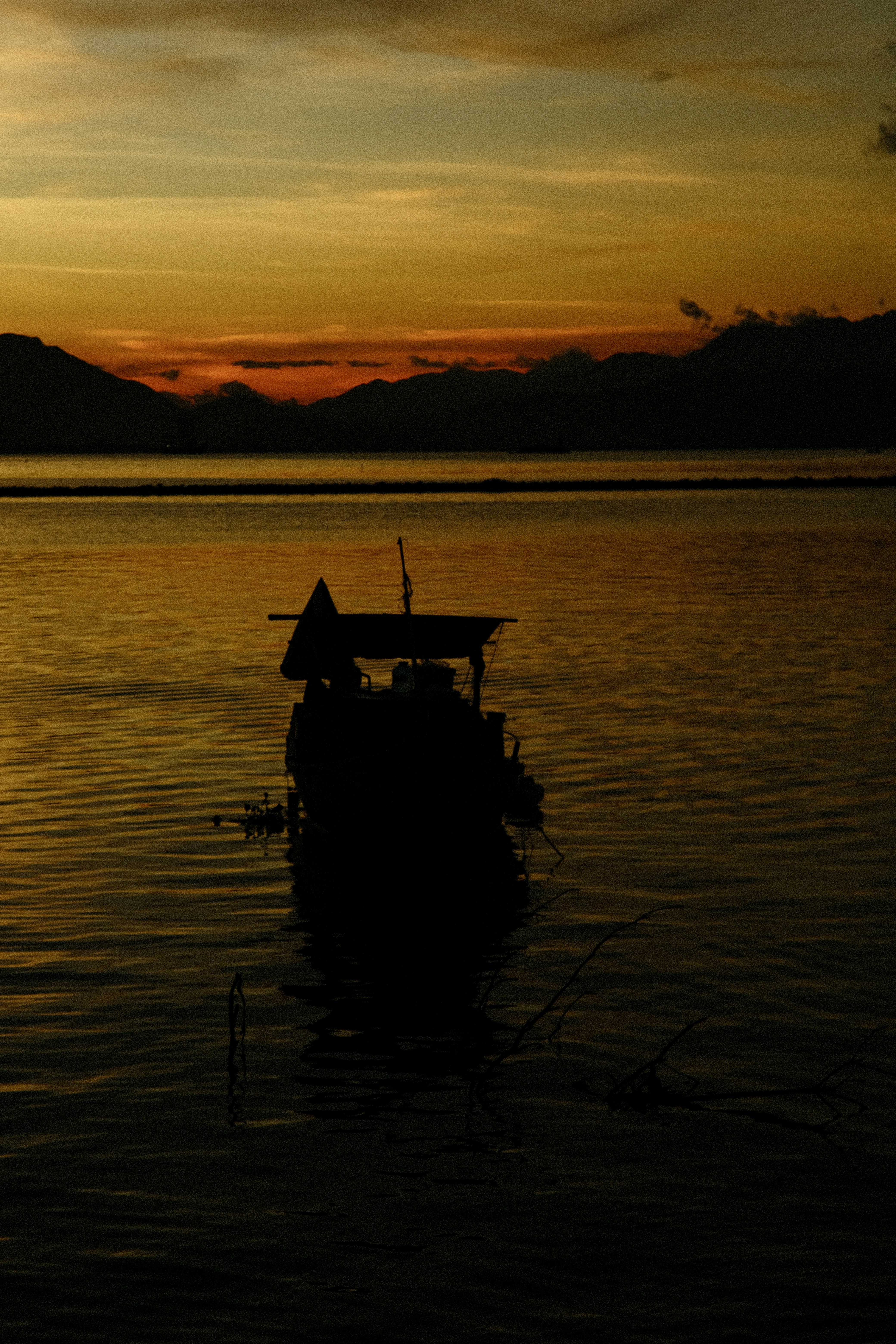 Photo by dvhoang2106