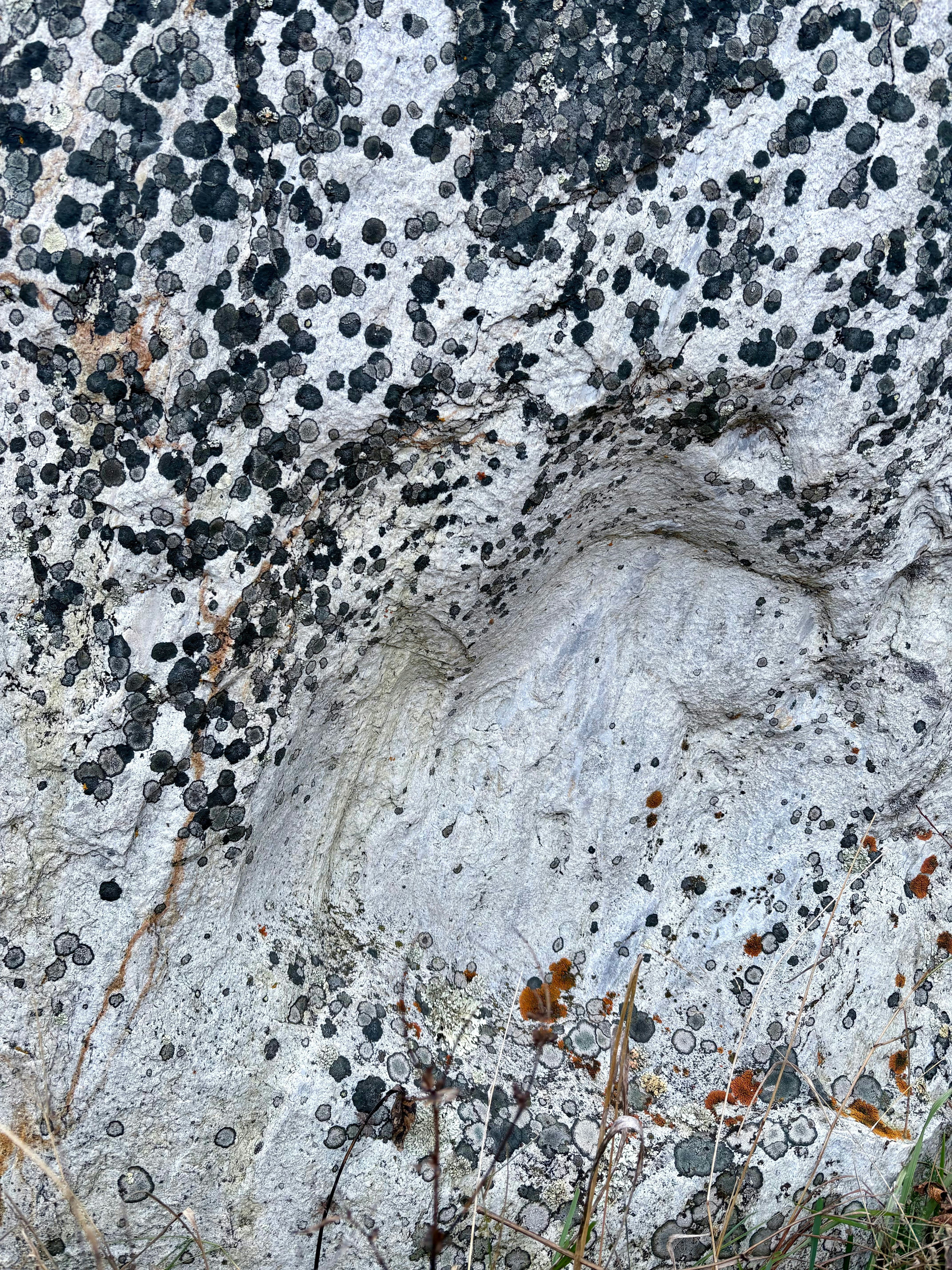 Photo by tashakostyuk