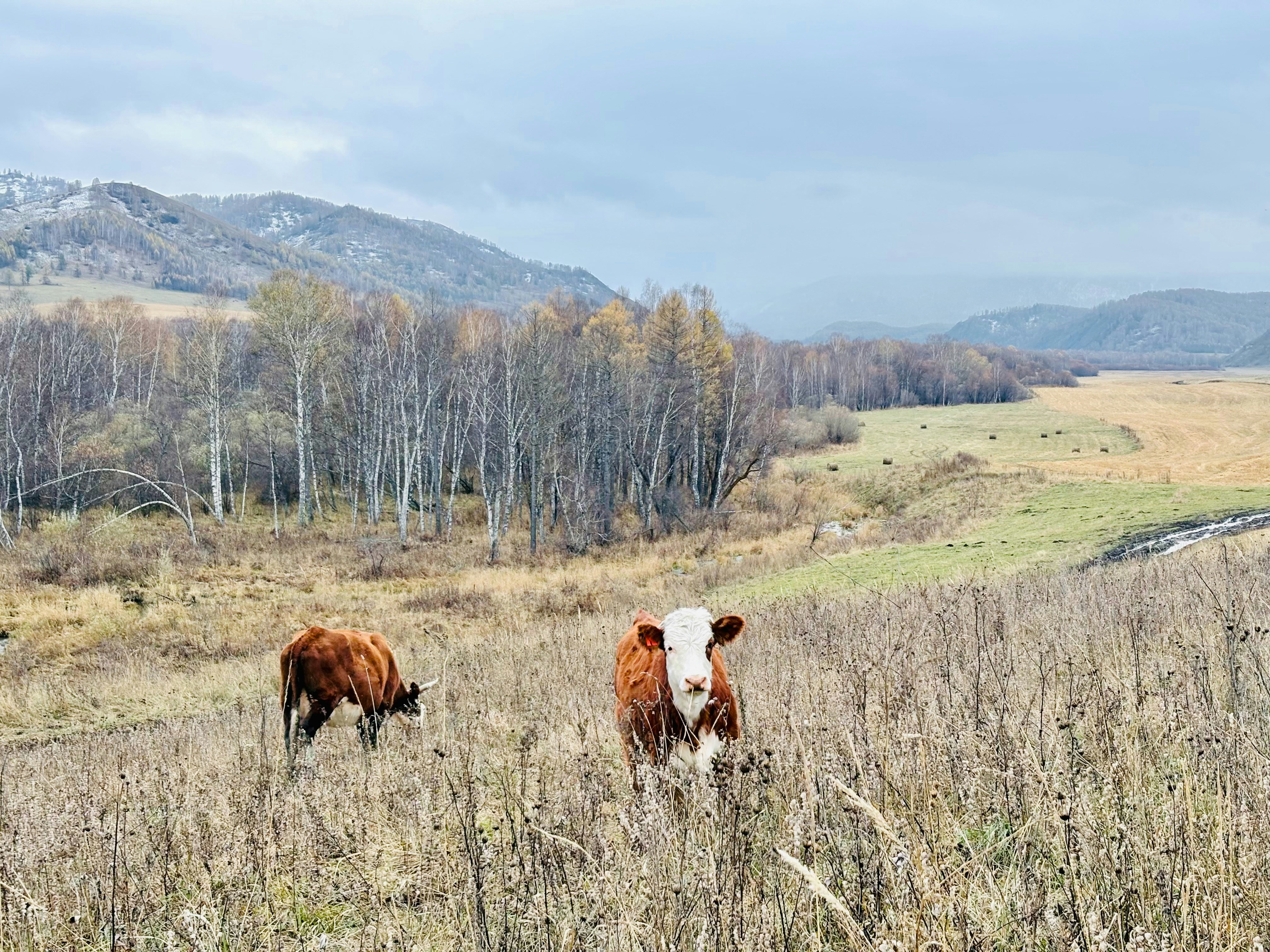 Photo by tashakostyuk