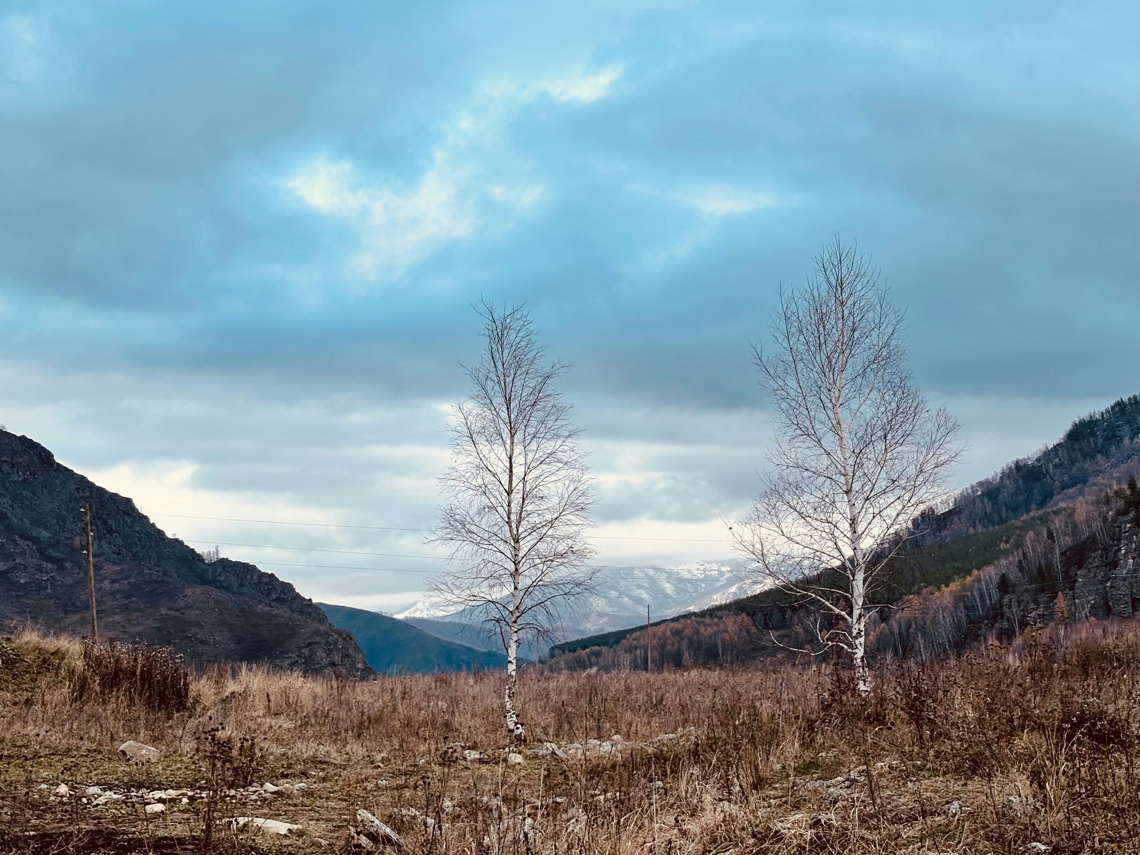 Photo by tashakostyuk