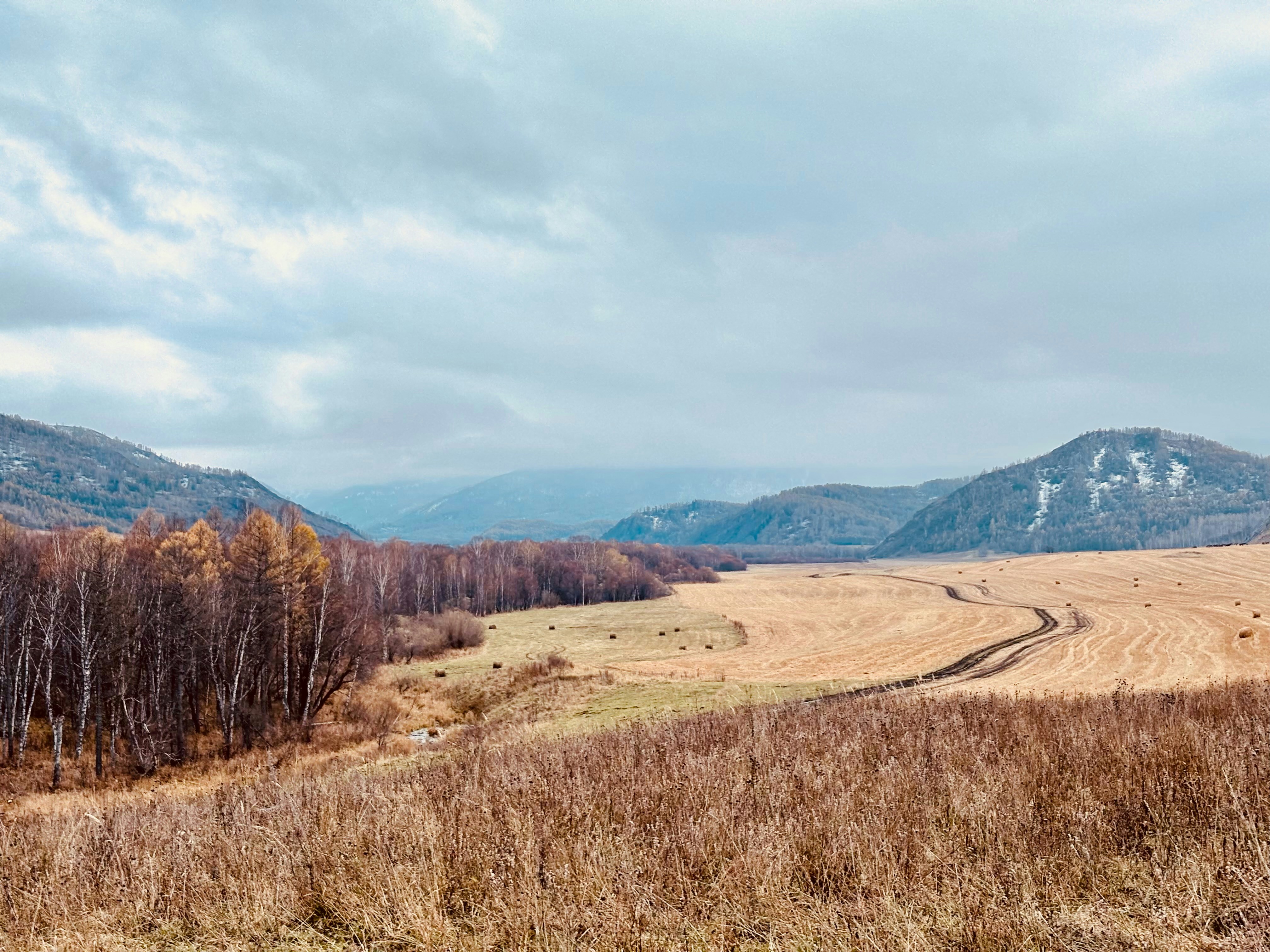 Photo by tashakostyuk