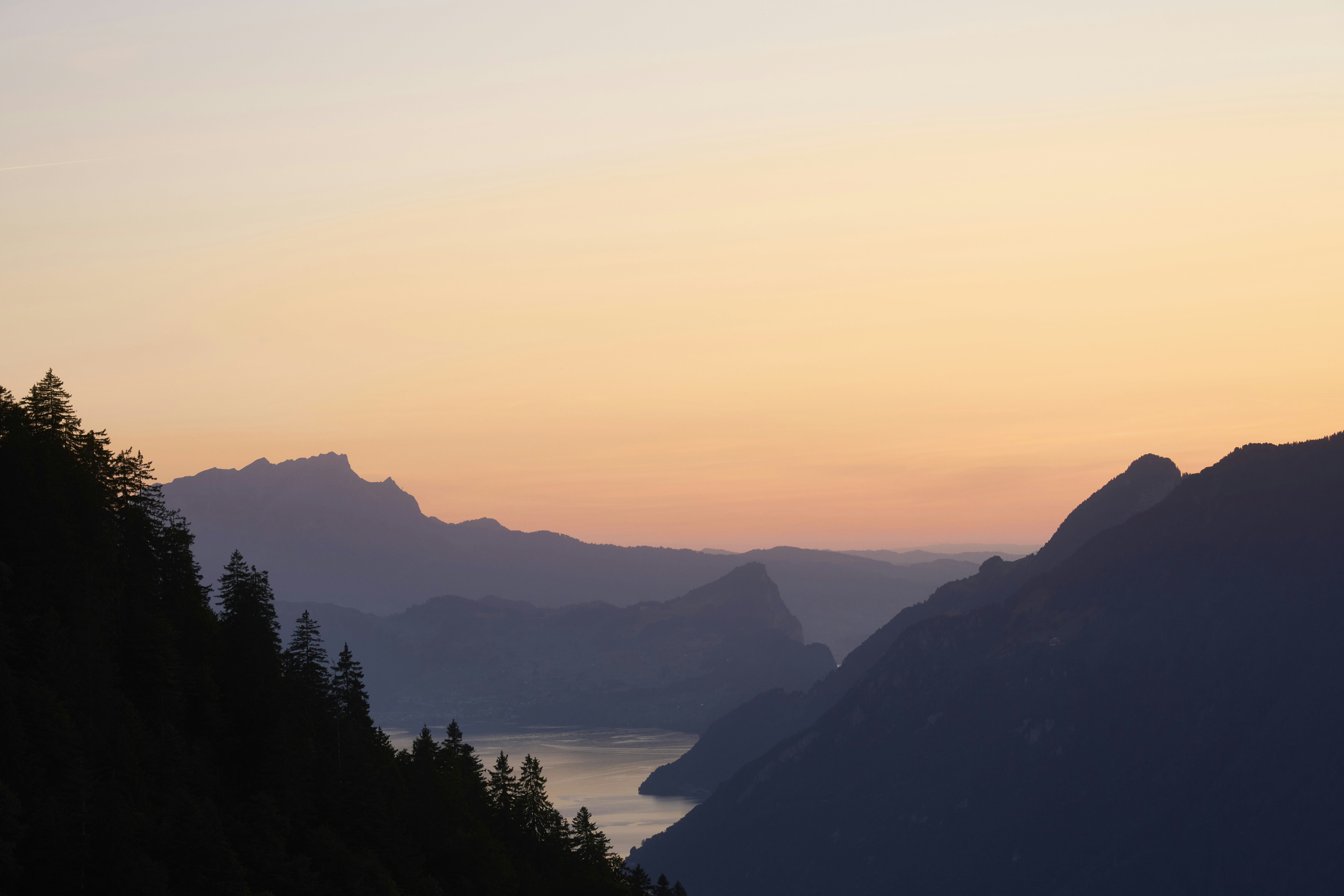 Photo by wolfgang_hasselmann