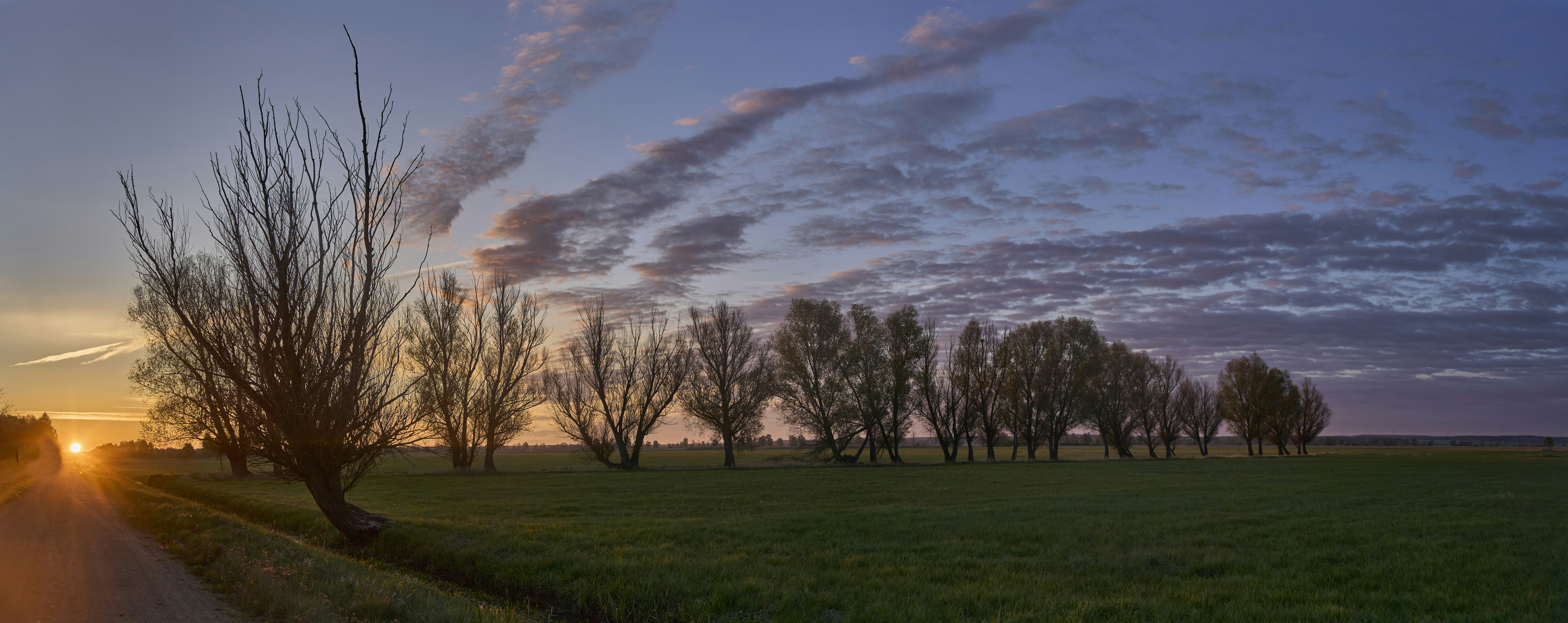 Photo by wolfgang_hasselmann