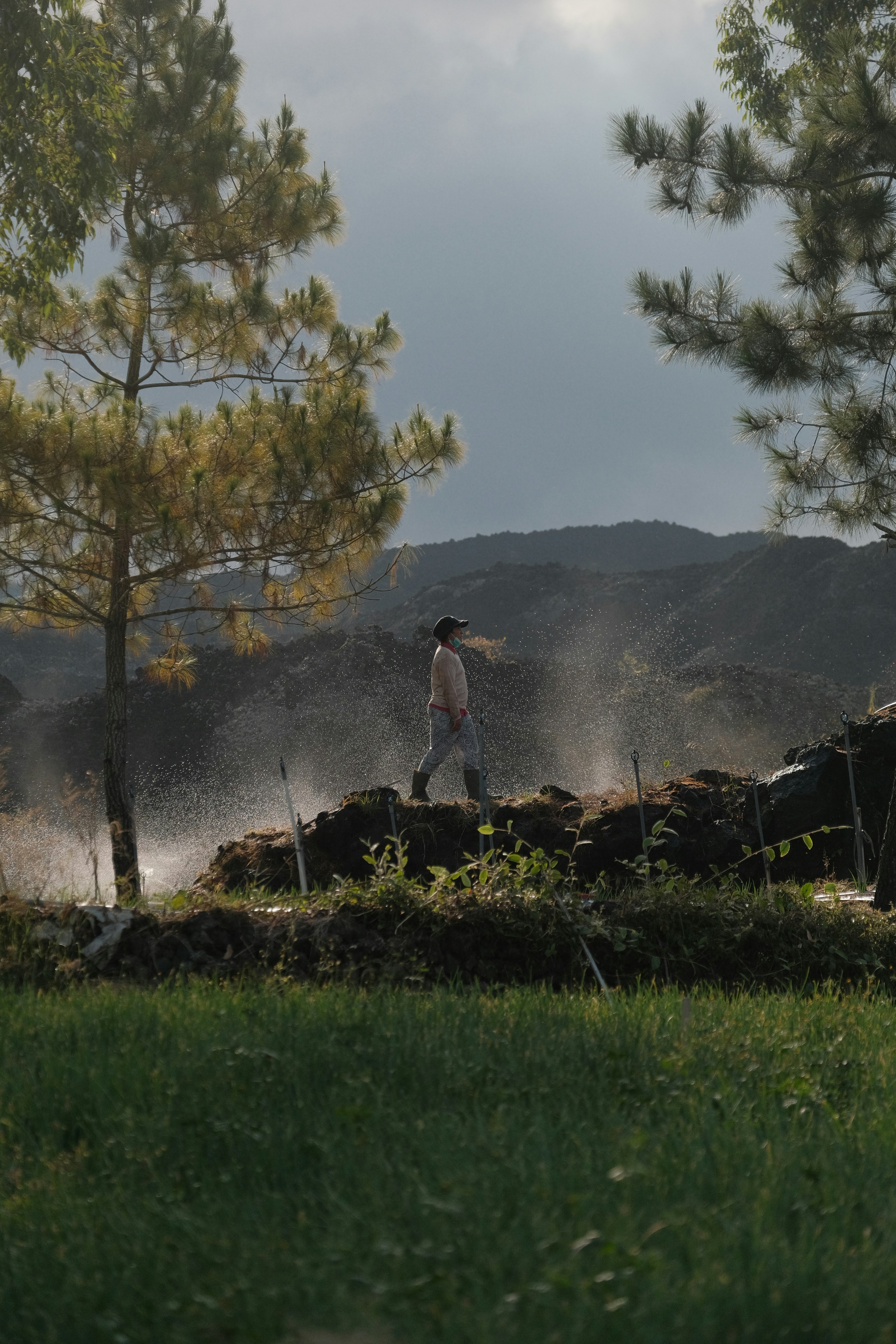 Una persona camina por un campo brumoso con árboles.