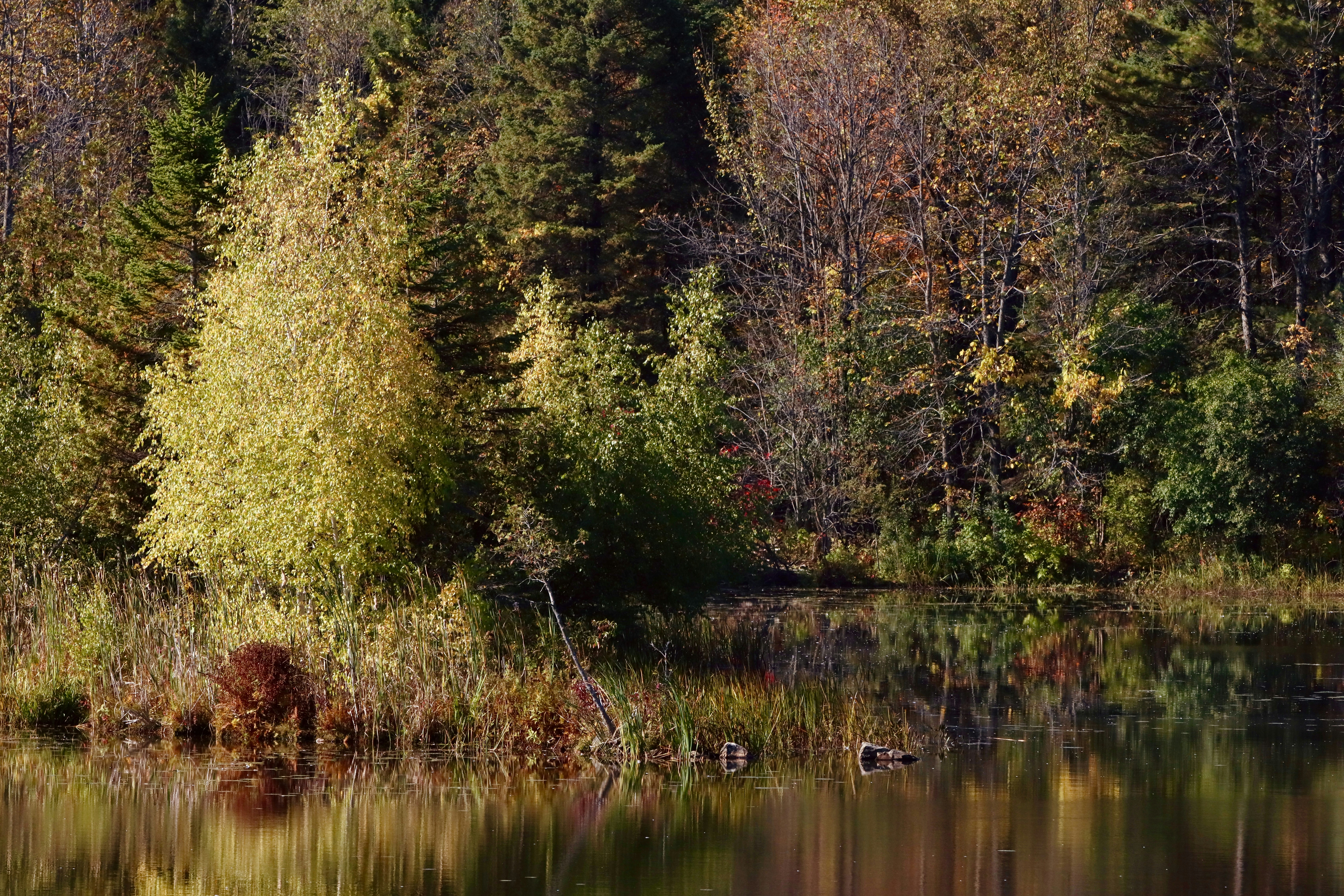 Photo by stephgibeaultart